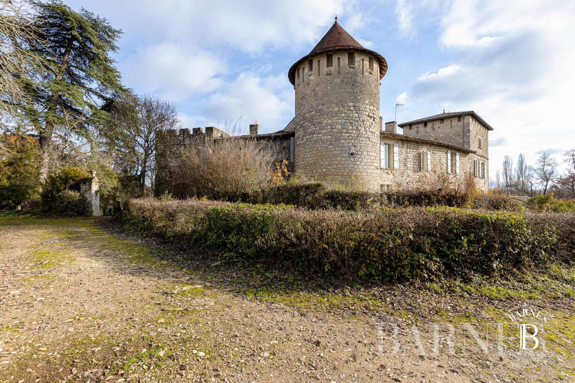 Lectoure  - Château 25 Pièces 9 Chambres - picture 7