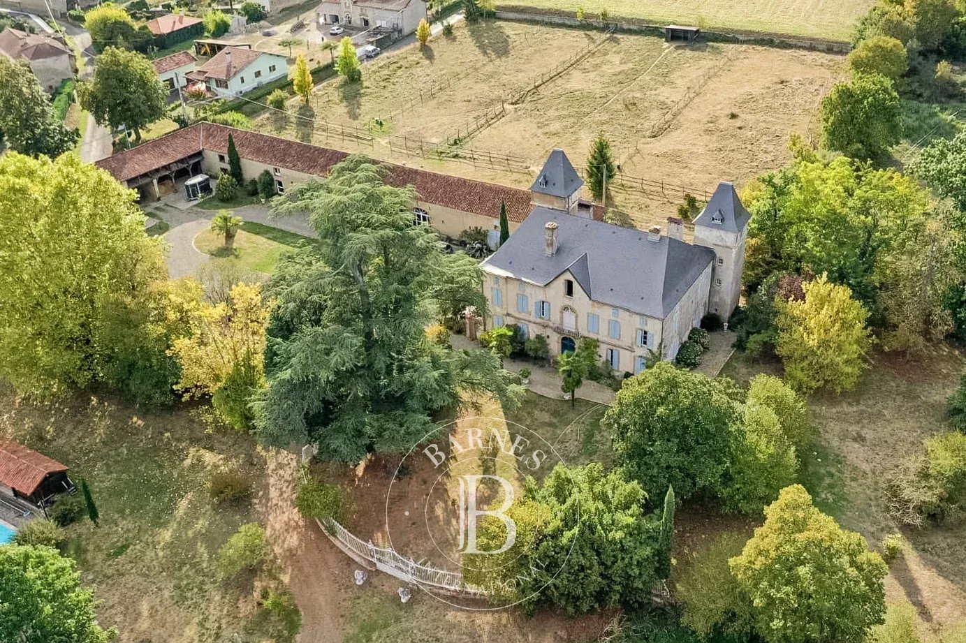 Maubourguet  - Château 19 Pièces 10 Chambres - picture 8