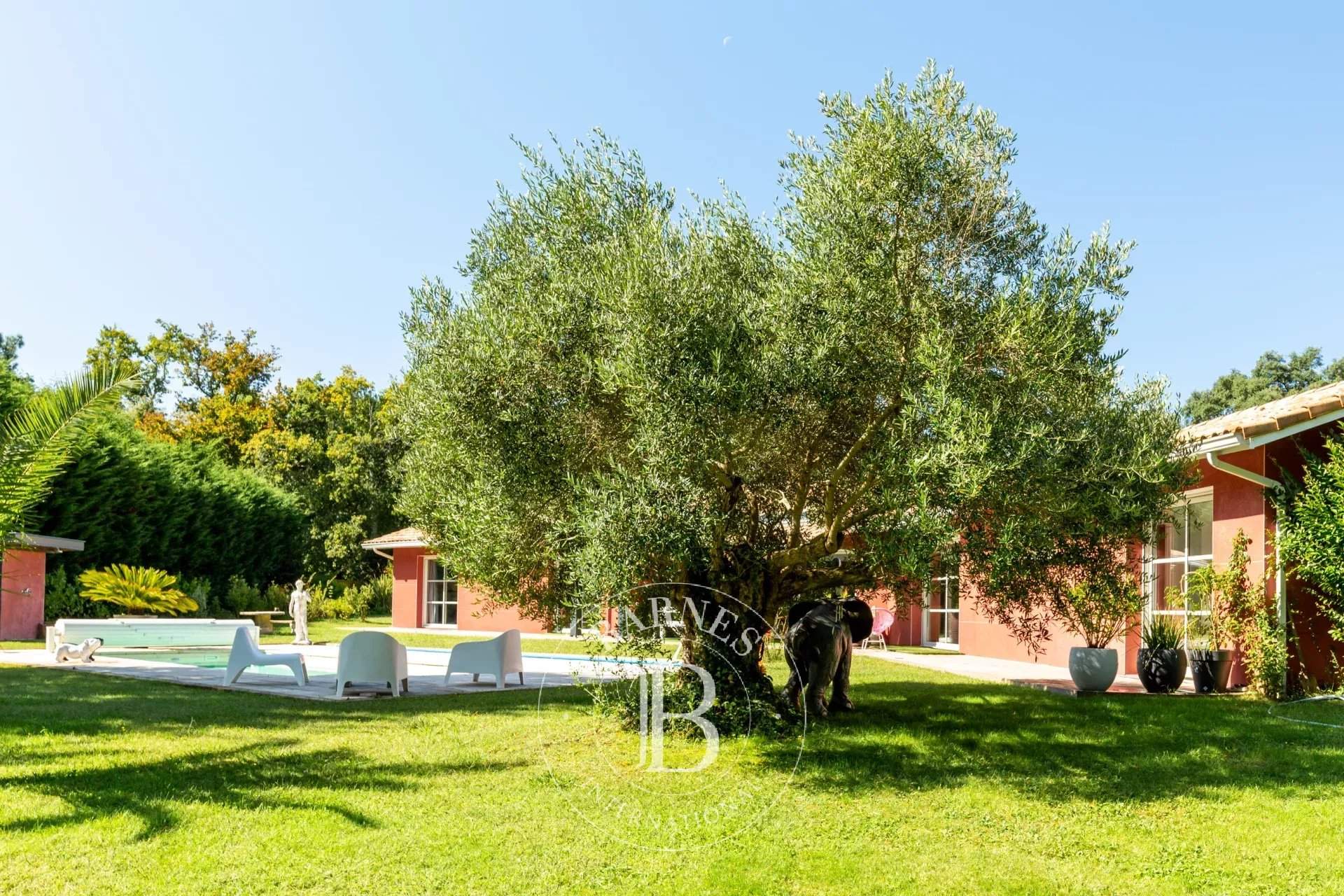 Angresse  - Maison 7 Pi&egrave;ces 5 Chambres - picture 4