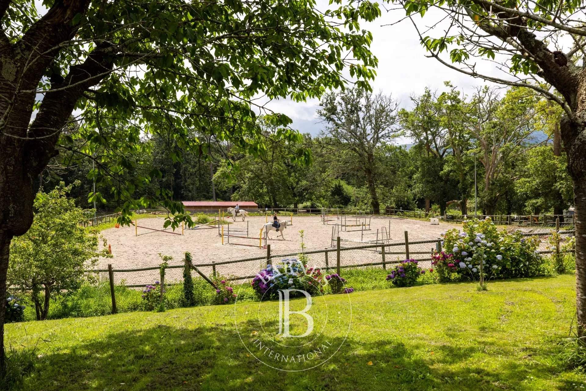 Urrugne  - House  - picture 10