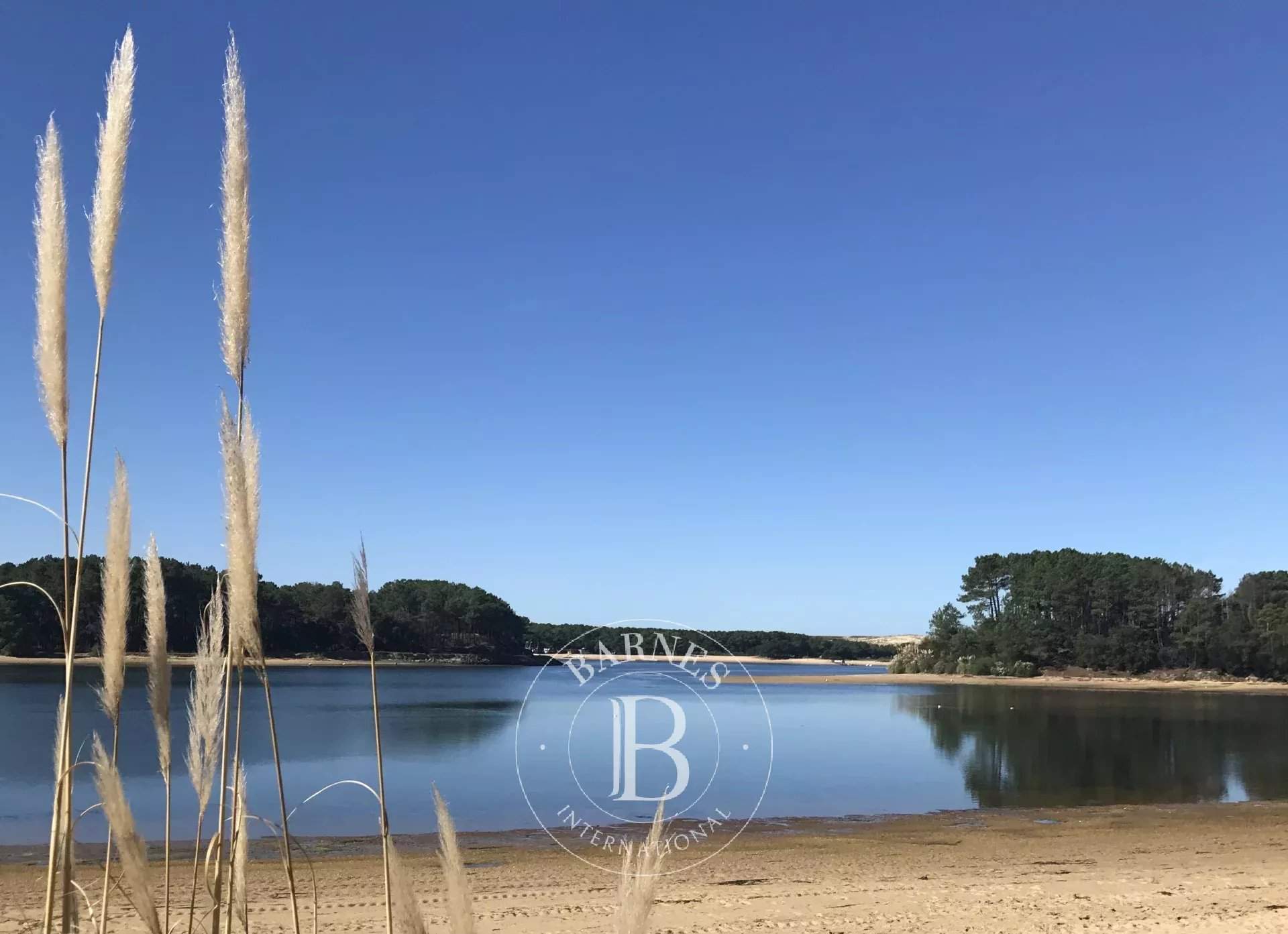 Vieux-Boucau-les-Bains  - House 6 Bedrooms - picture 13