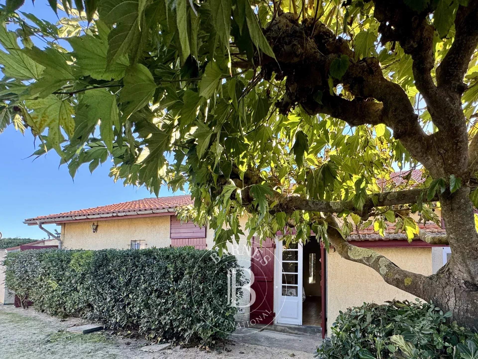 Vieux-Boucau-les-Bains  - House 6 Bedrooms - picture 3