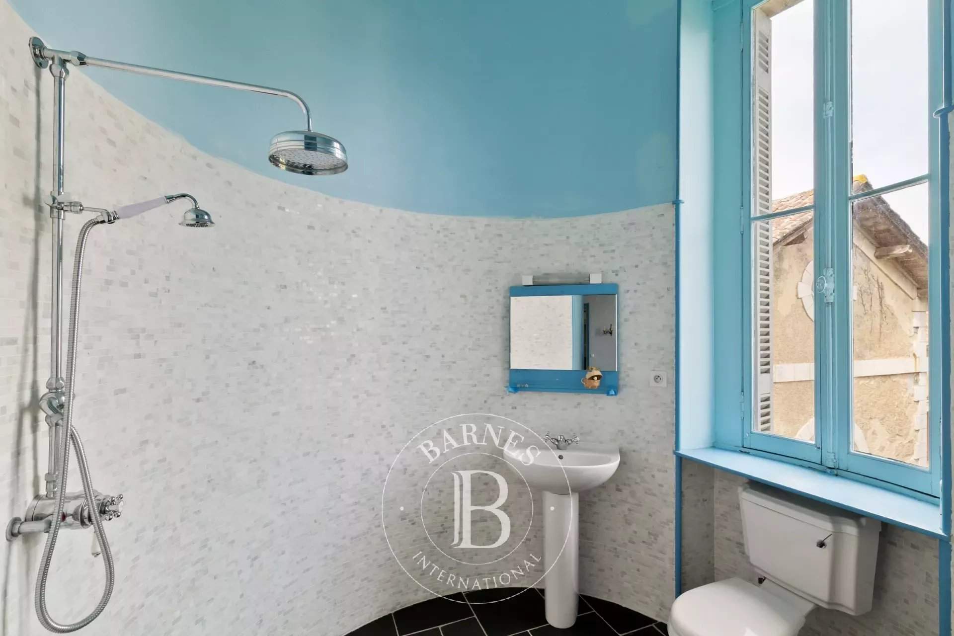 Peyrehorade  - Château 25 Pièces 14 Chambres - picture 17