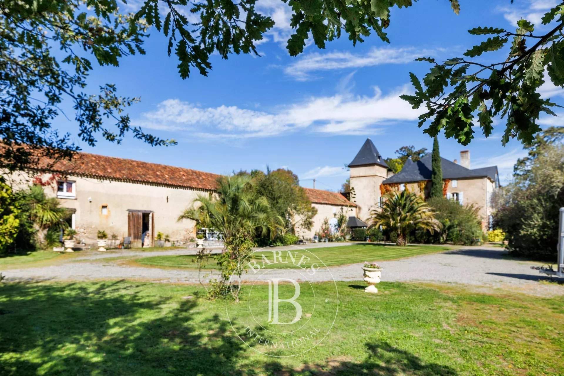 Maubourguet  - Château 19 Pièces 10 Chambres - picture 4