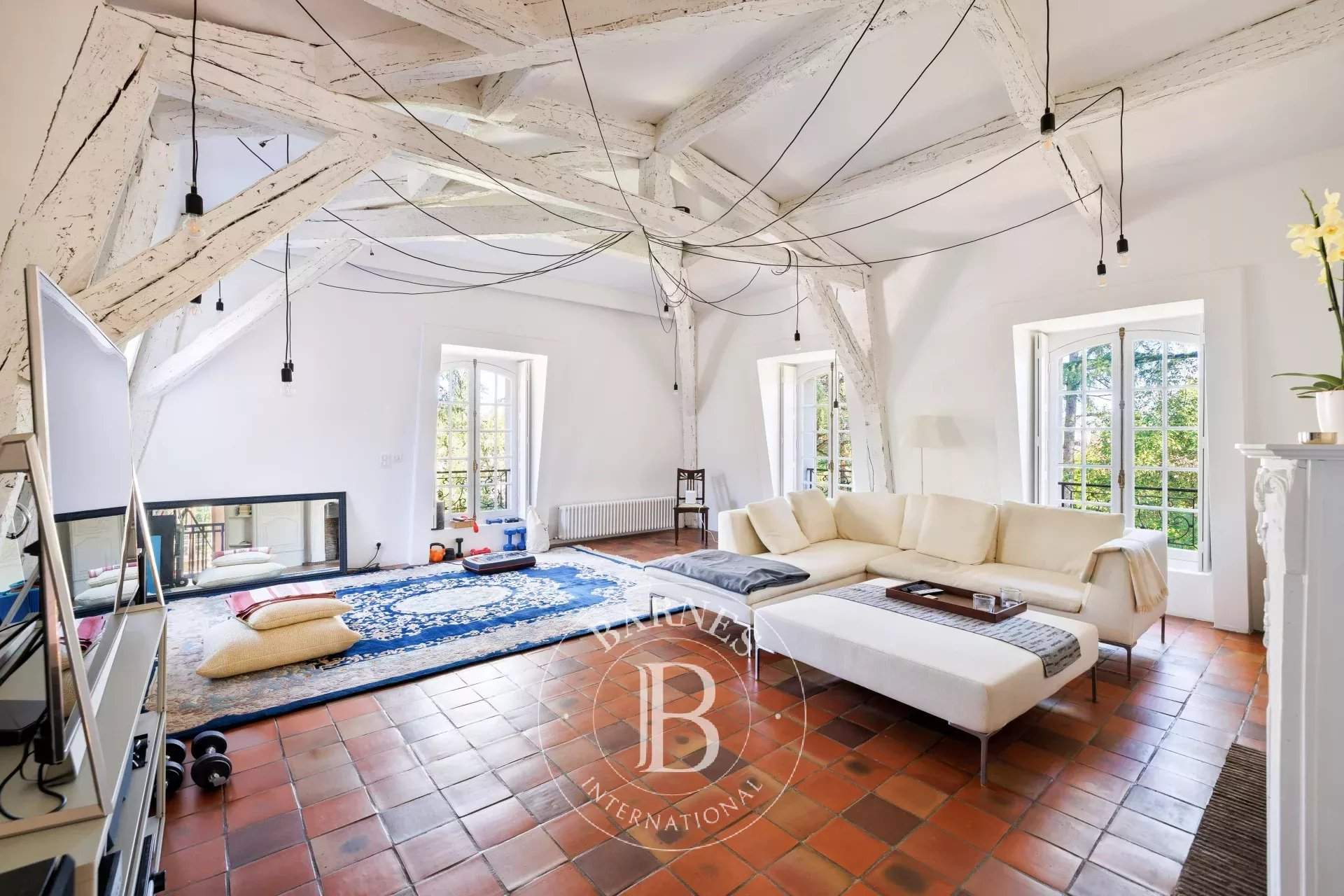 Aire-sur-l'Adour  - Manor house 3 Bedrooms - picture 19