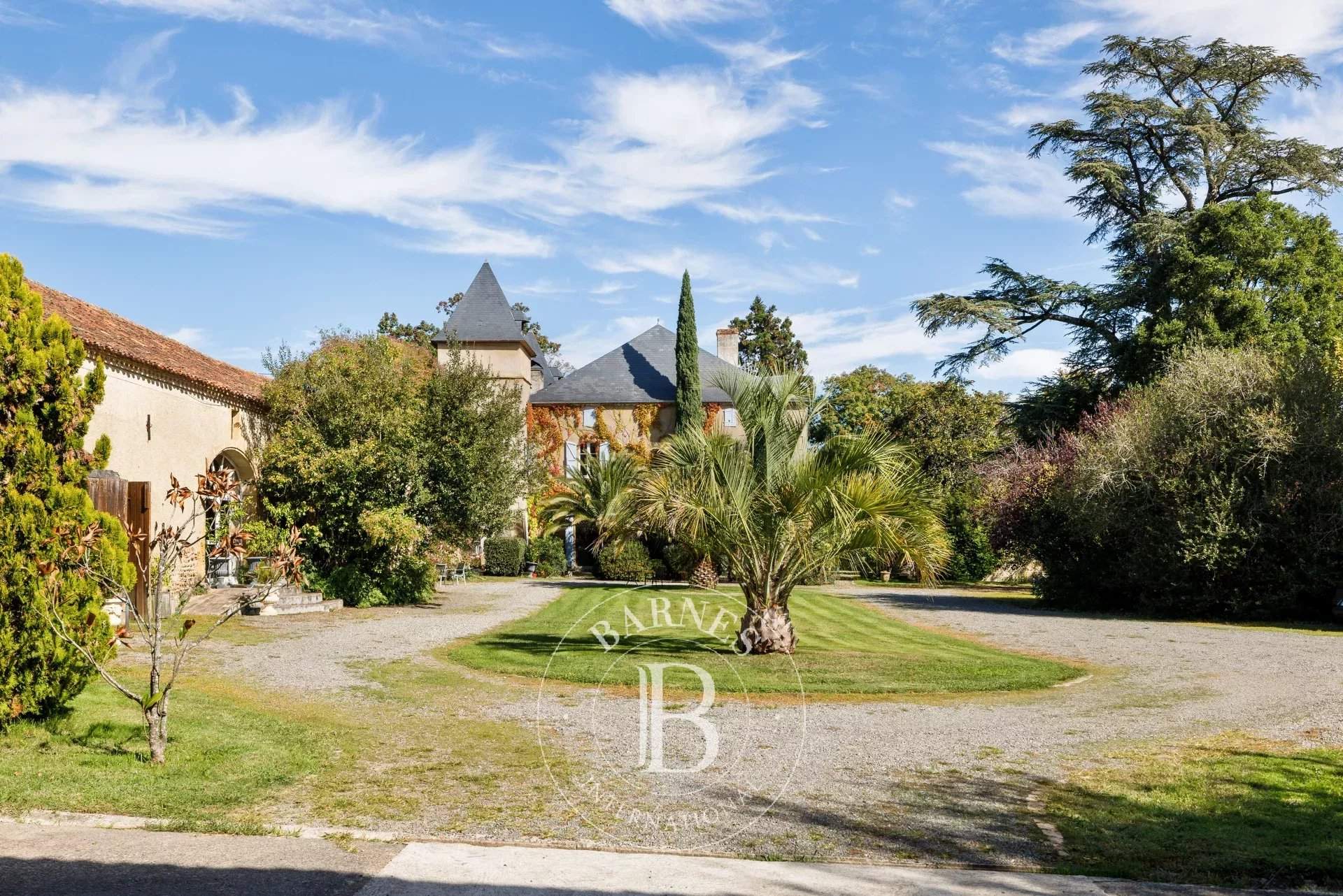 Maubourguet  - Château 19 Pièces 10 Chambres - picture 10