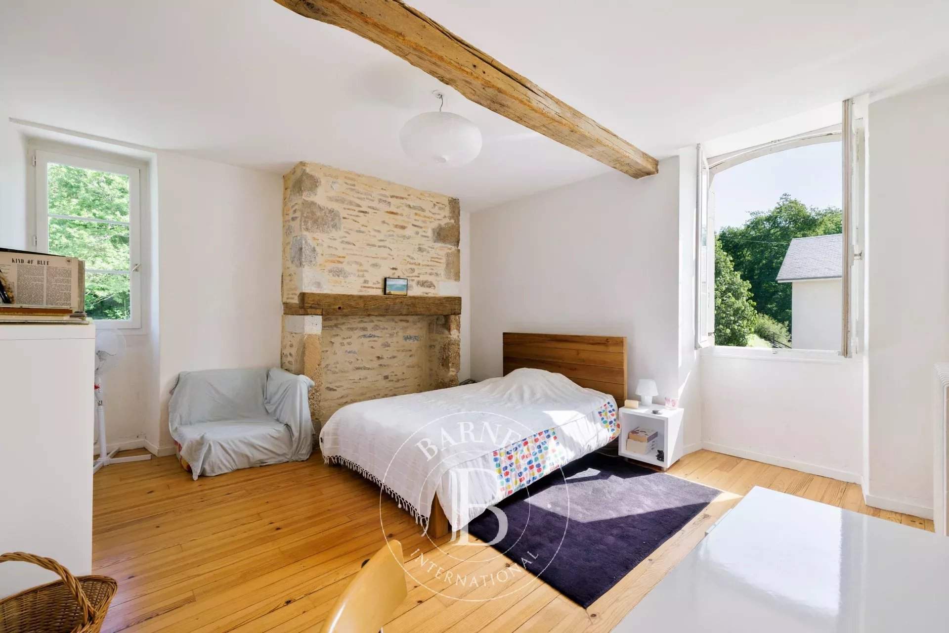 Pau  - Propriété 10 Pi&egrave;ces 5 Chambres - picture 19