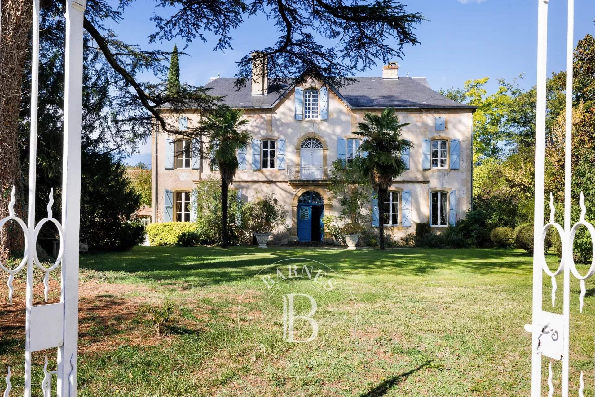 Maubourguet  - Château 19 Pièces 10 Chambres - picture 2