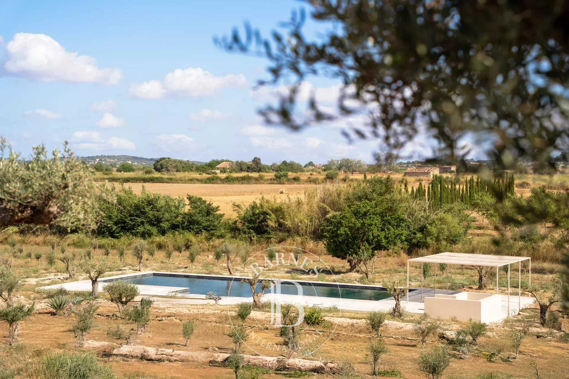 Algaida  - Villa 14 Bedrooms