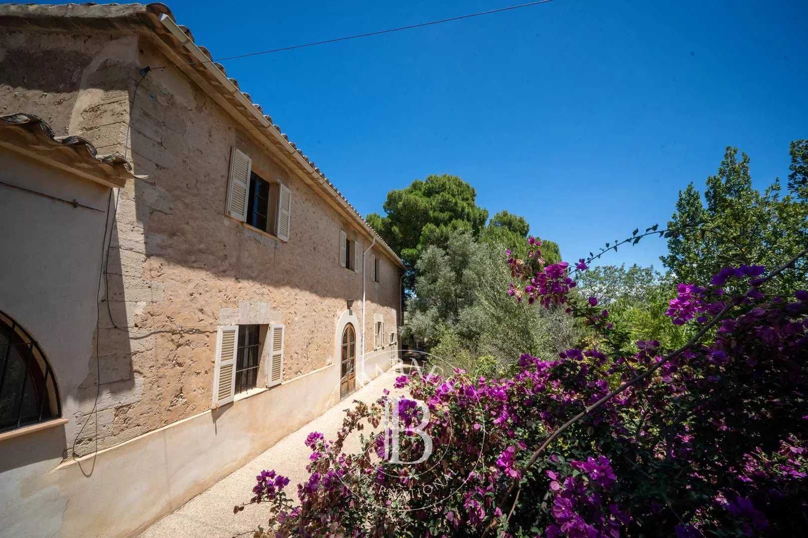 Propriété Palma de Mallorca  -  ref 85066401 (picture 1)