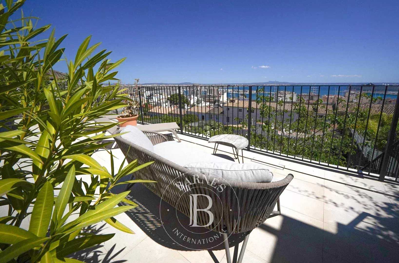 Villa Palma de Mallorca  -  ref 84187695 (picture 3)