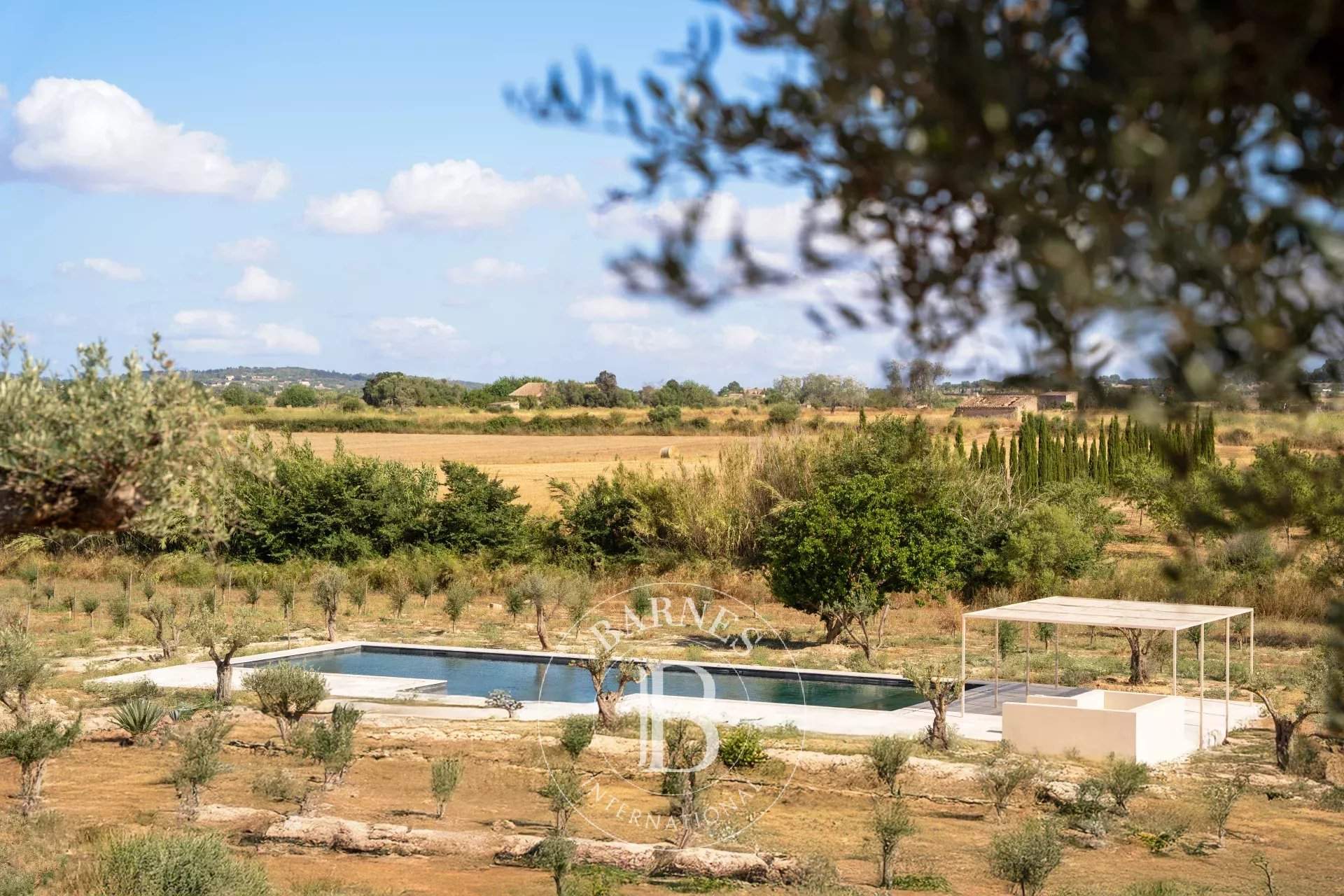 Algaida  - Villa 14 Bedrooms - picture 4