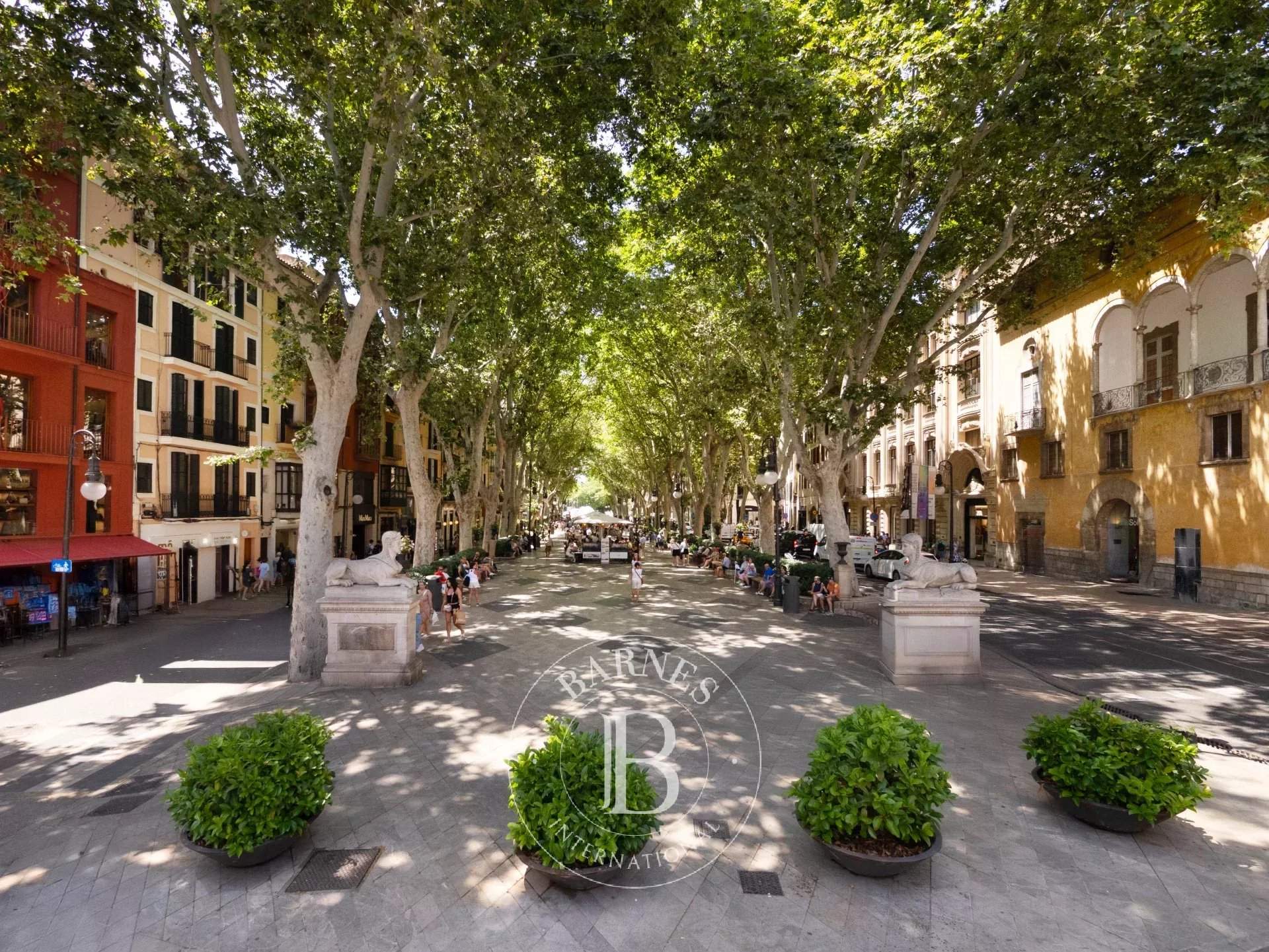 Palma de Mallorca  - Penthouse 3 Bedrooms - picture 20