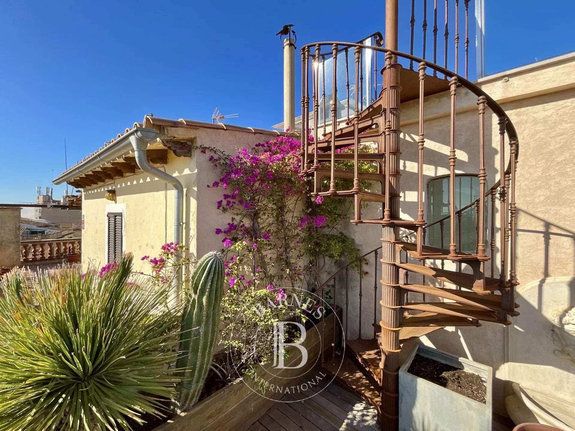 Palma de Mallorca  - Palacete 13 Cuartos 11 Habitaciones - picture 13