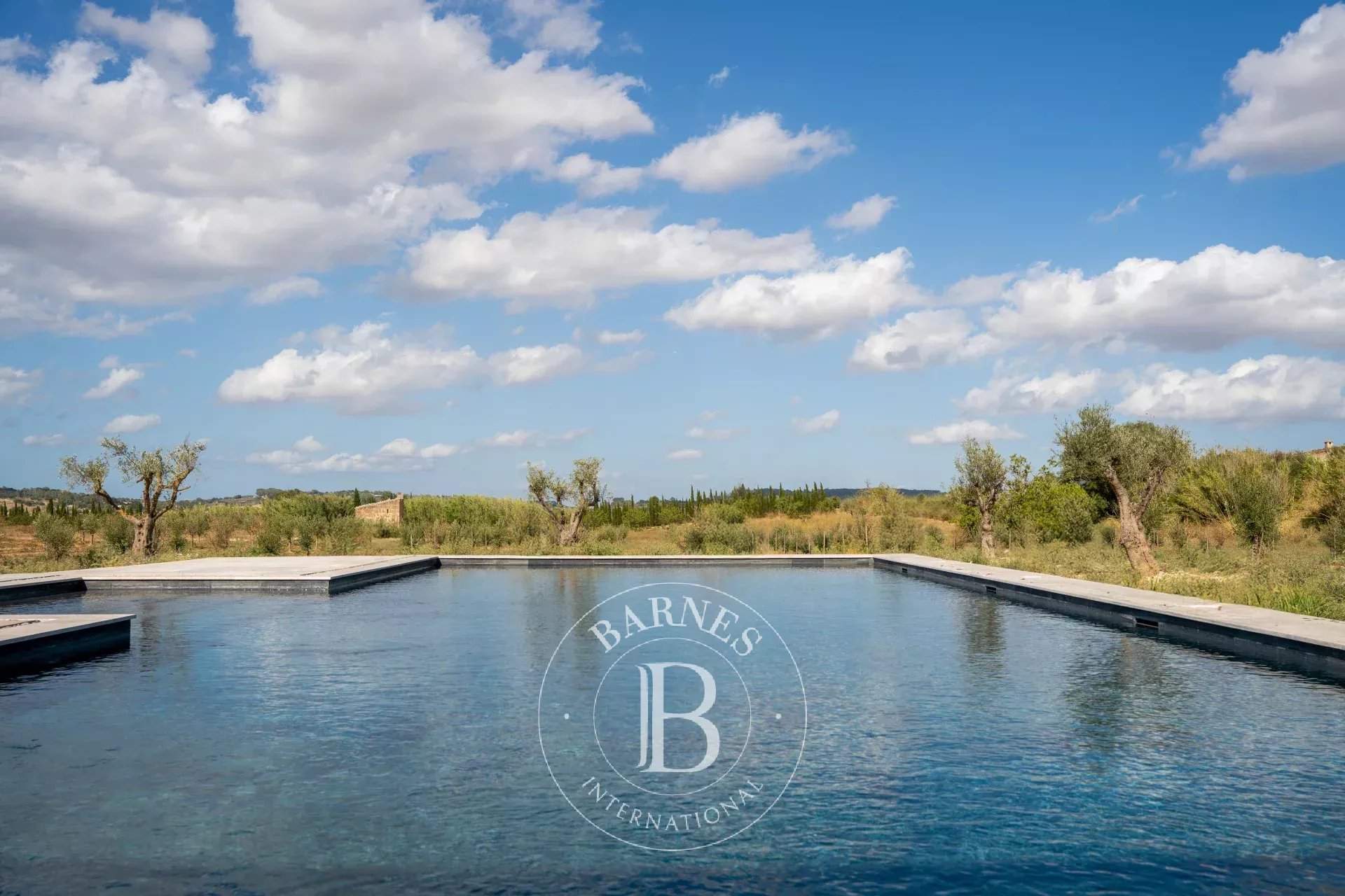 Algaida  - Villa 14 Bedrooms - picture 2