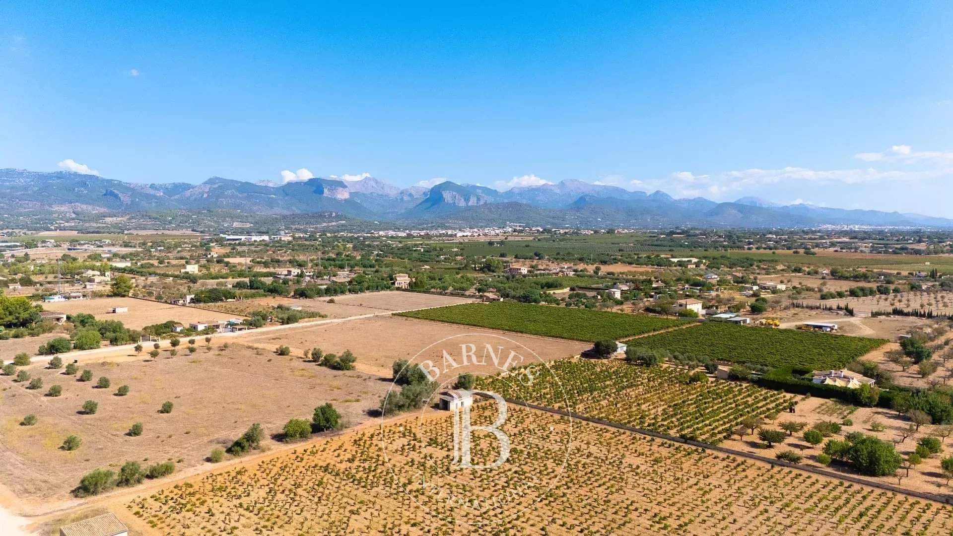 Santa María del Camí  - Villa 5 Cuartos 4 Habitaciones - picture 20