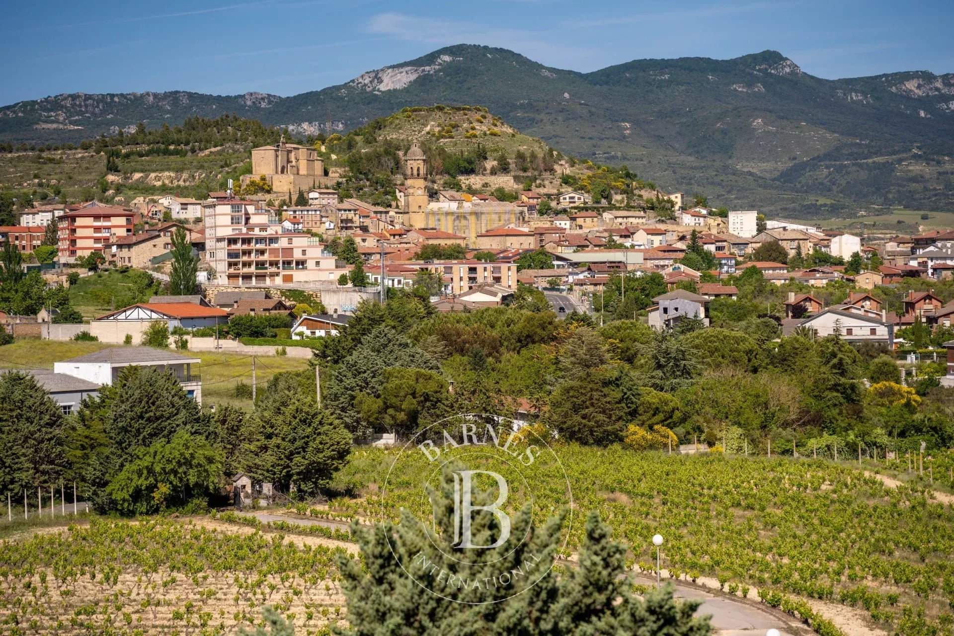 Labastida  - Property 5 Bedrooms - picture 12