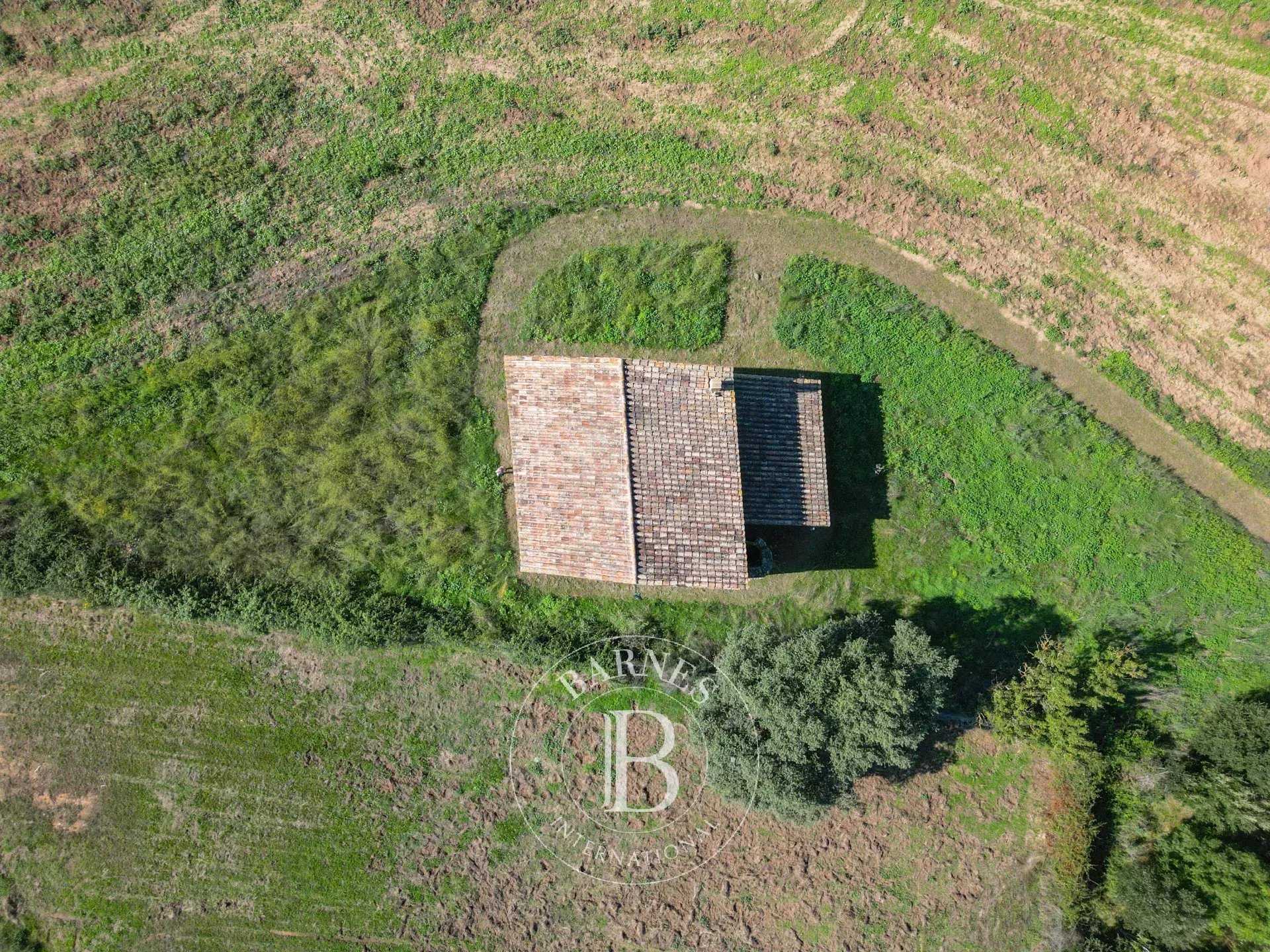 Sant Sadurni de L'Heura  - Finca 