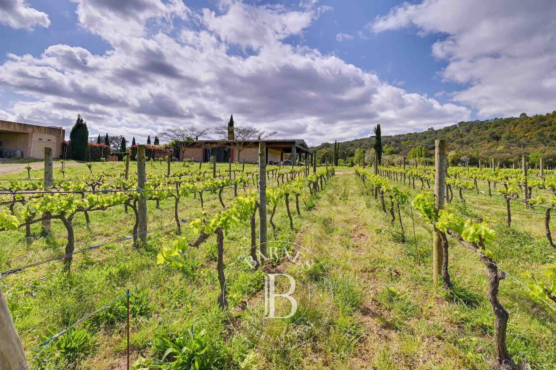 Torrent d'Emporda  - Vineyard property 11 Bedrooms