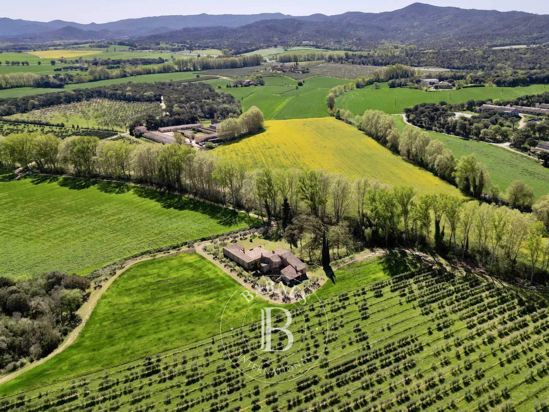 Finca Llagostera  -  ref 84675801 (picture 3)