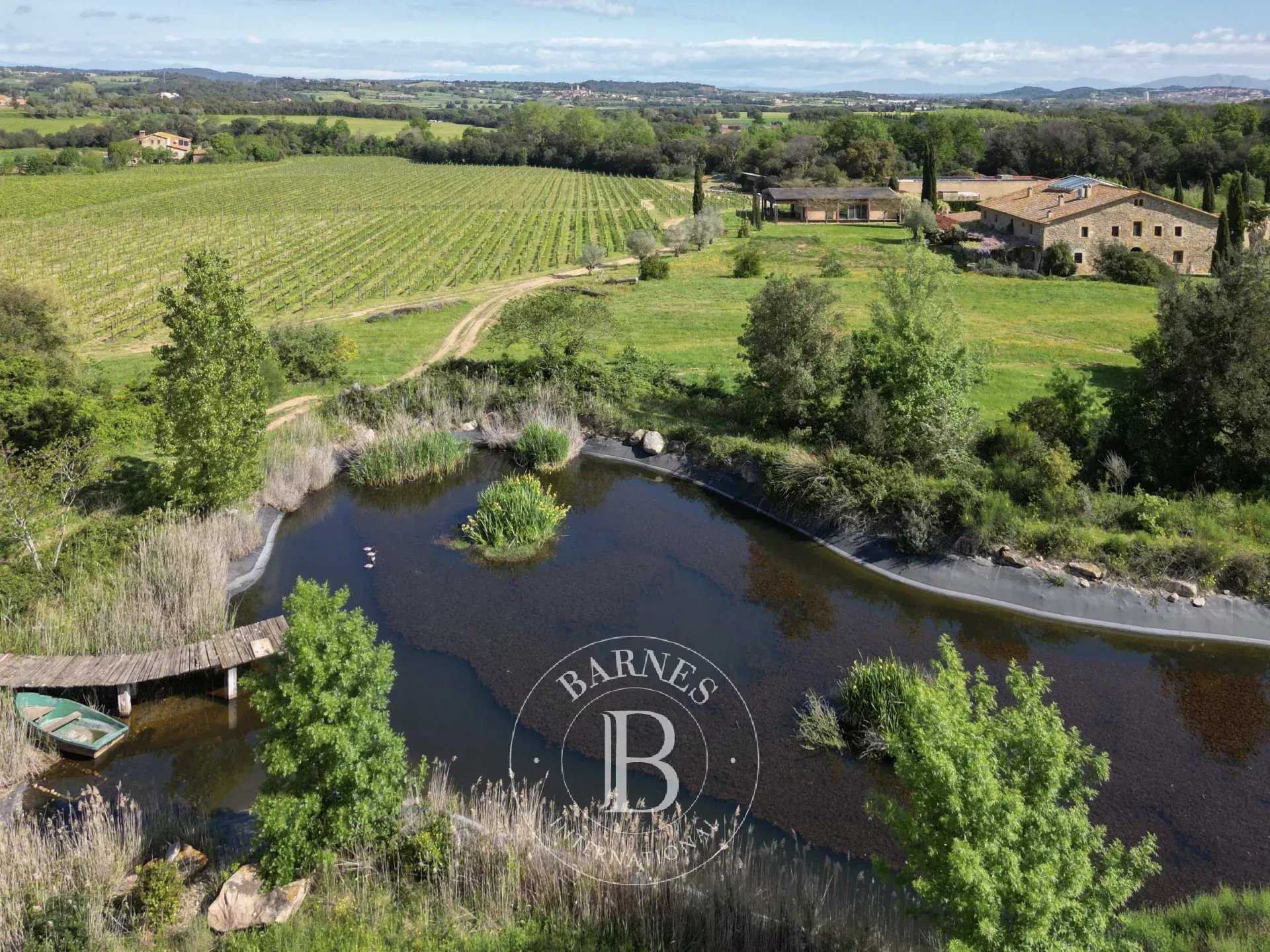 Propriété viticole Torrent d'Emporda  -  ref 85691250 (picture 3)