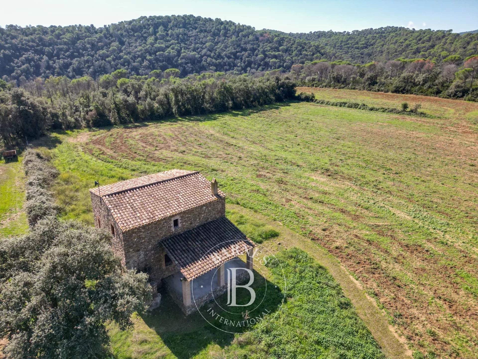 Sant Sadurni de L'Heura  - Finca  - picture 7