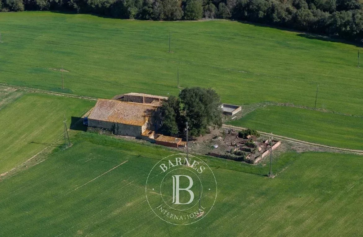 Santa Susana de Peralta  - Finca 5 Cuartos 5 Habitaciones - picture 9
