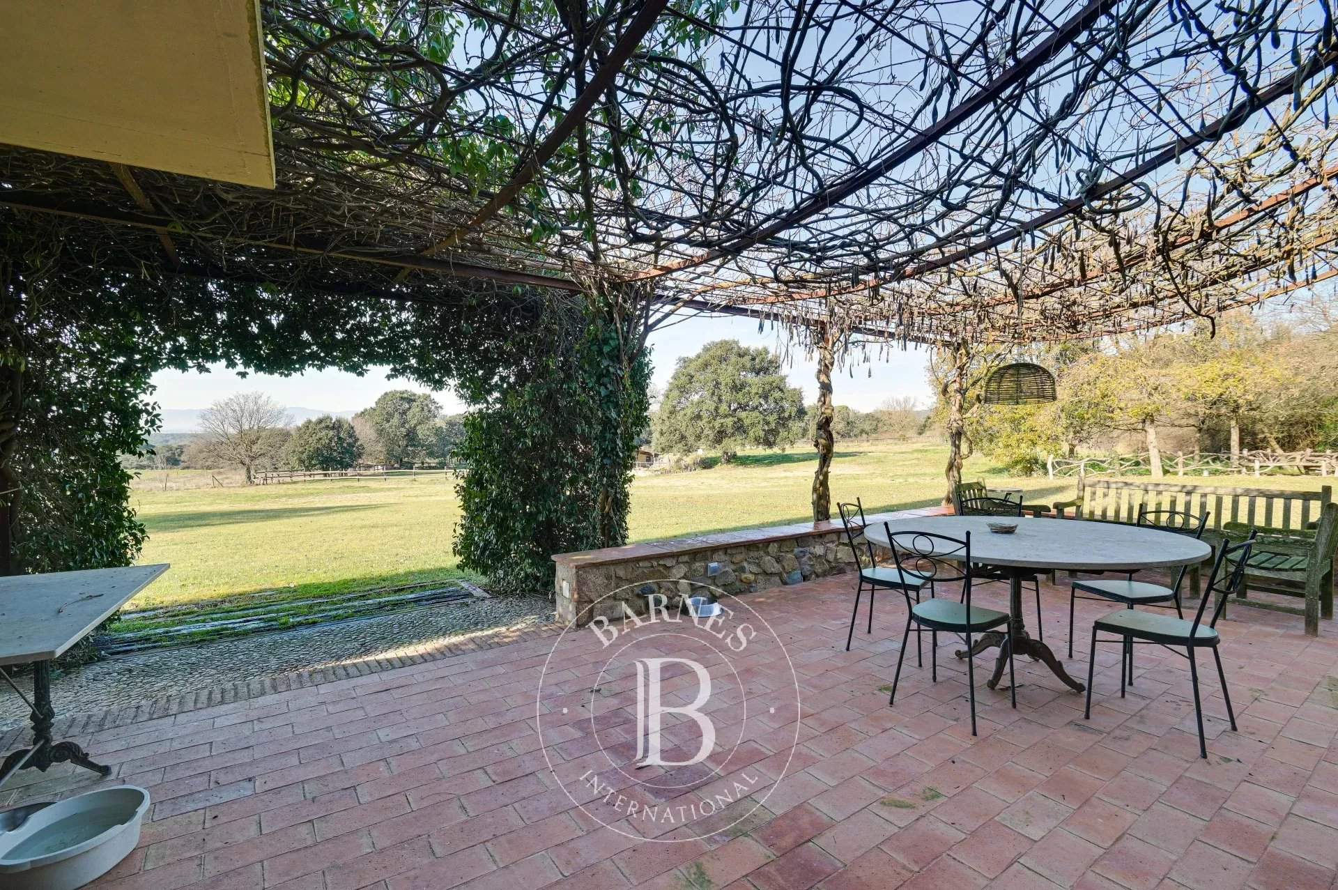 Cassá de la Selva  - Finca  - picture 17