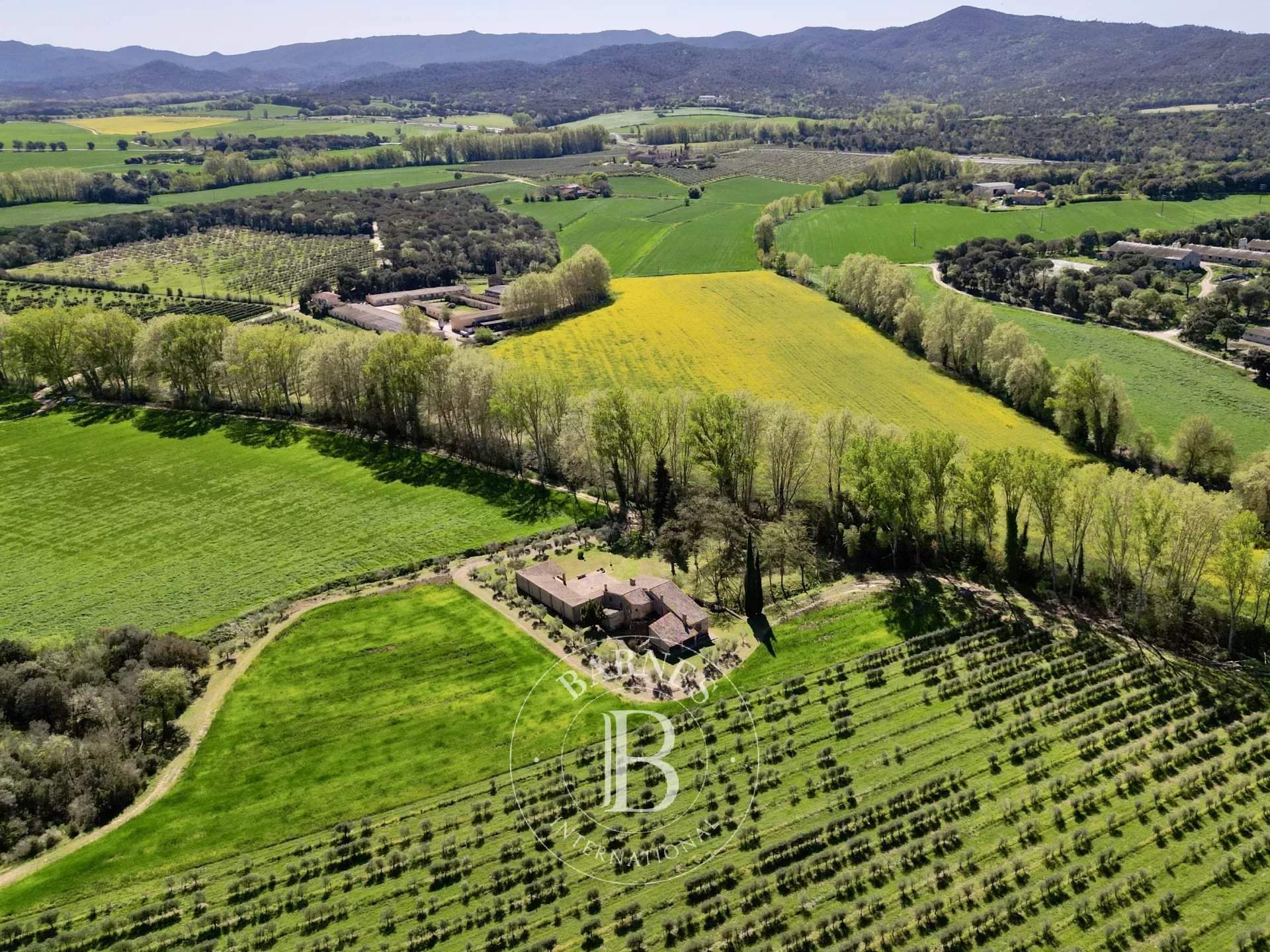 Llagostera  - Mas 6 Bedrooms - picture 3