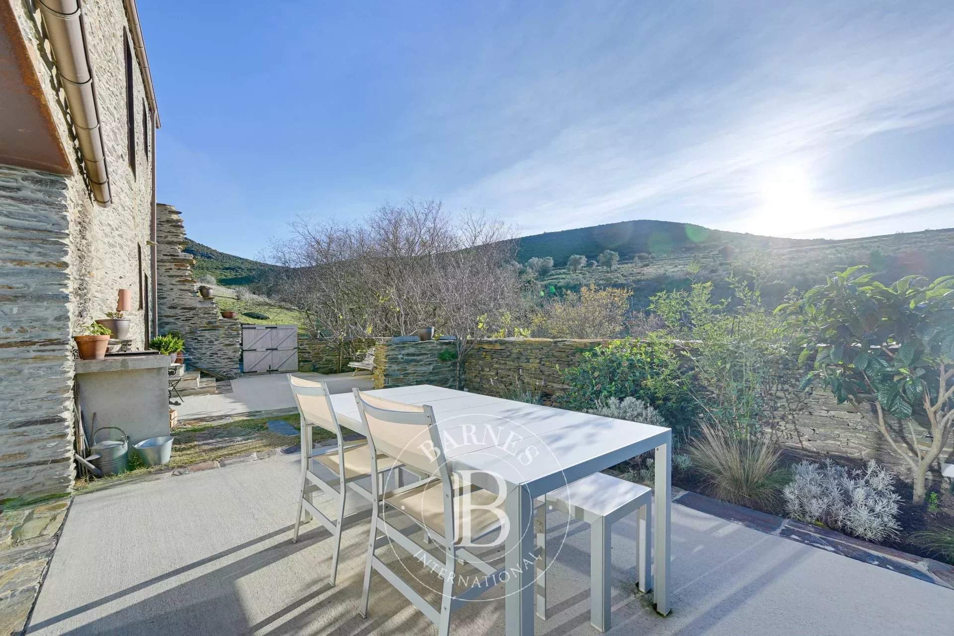 Roses  - Mas  - picture 20