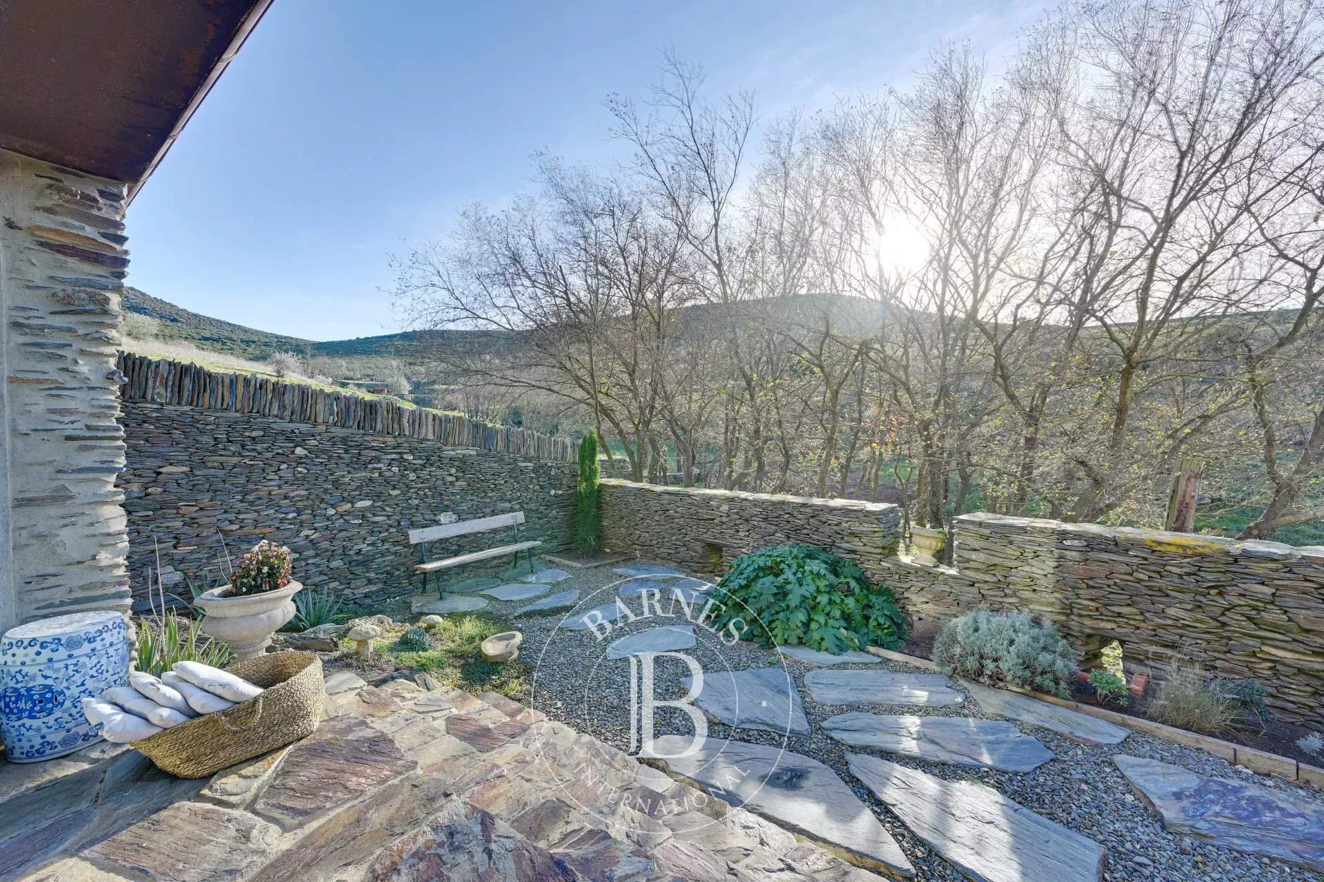 Roses  - Mas  - picture 14