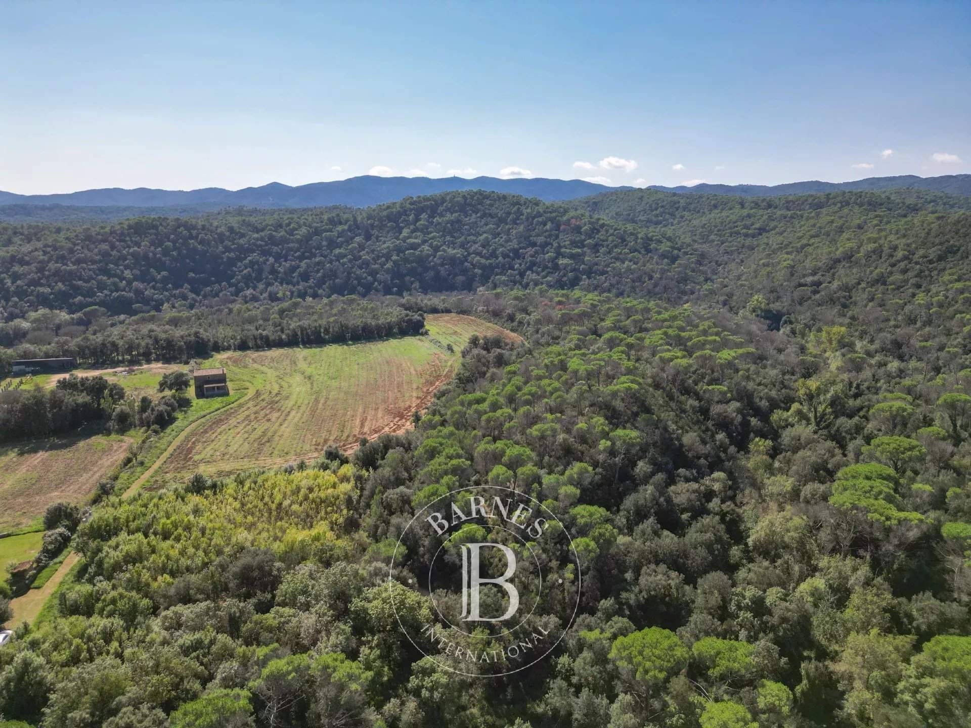 Sant Sadurni de L'Heura  - Finca  - picture 8