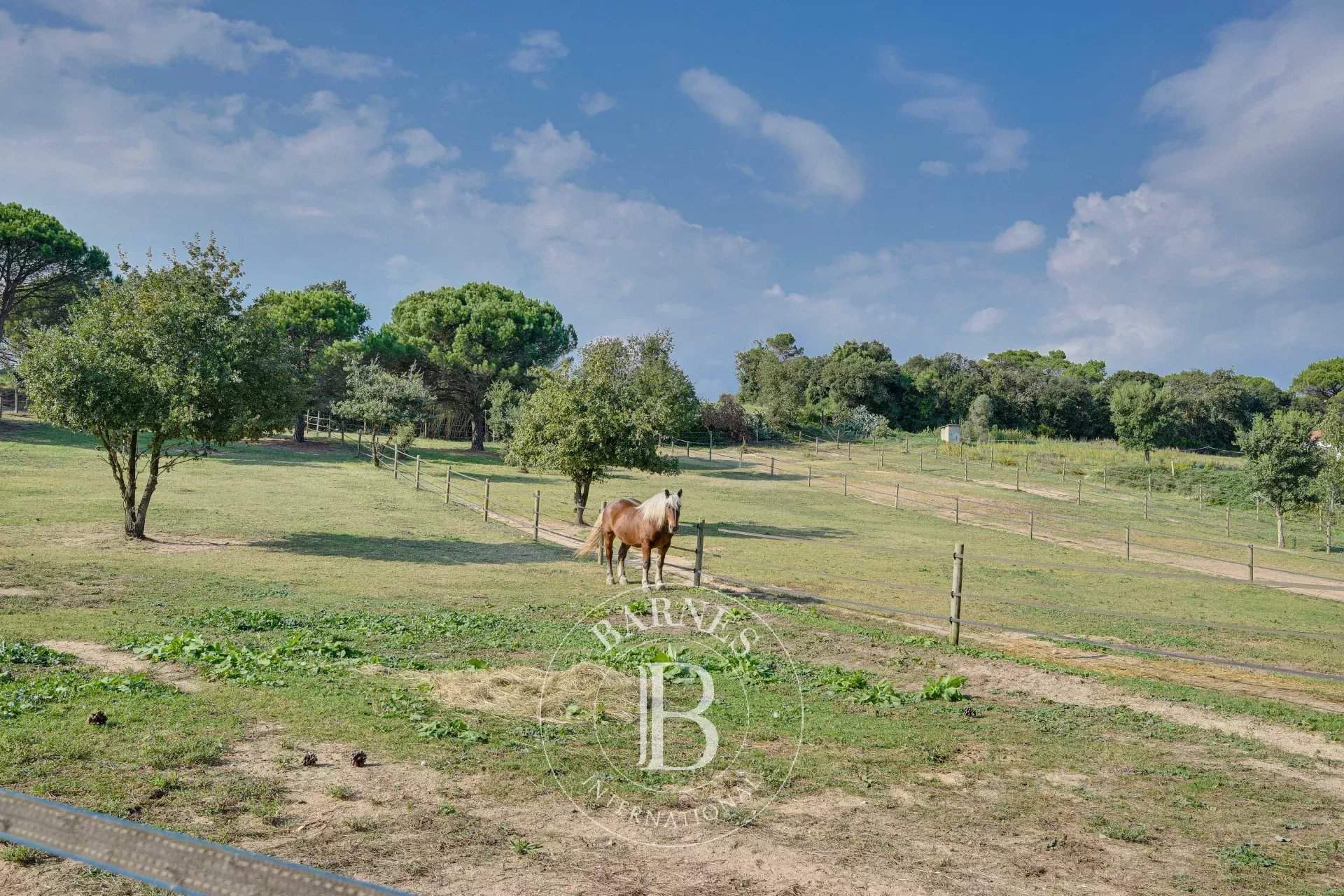 Vidreres  - Finca  - picture 9