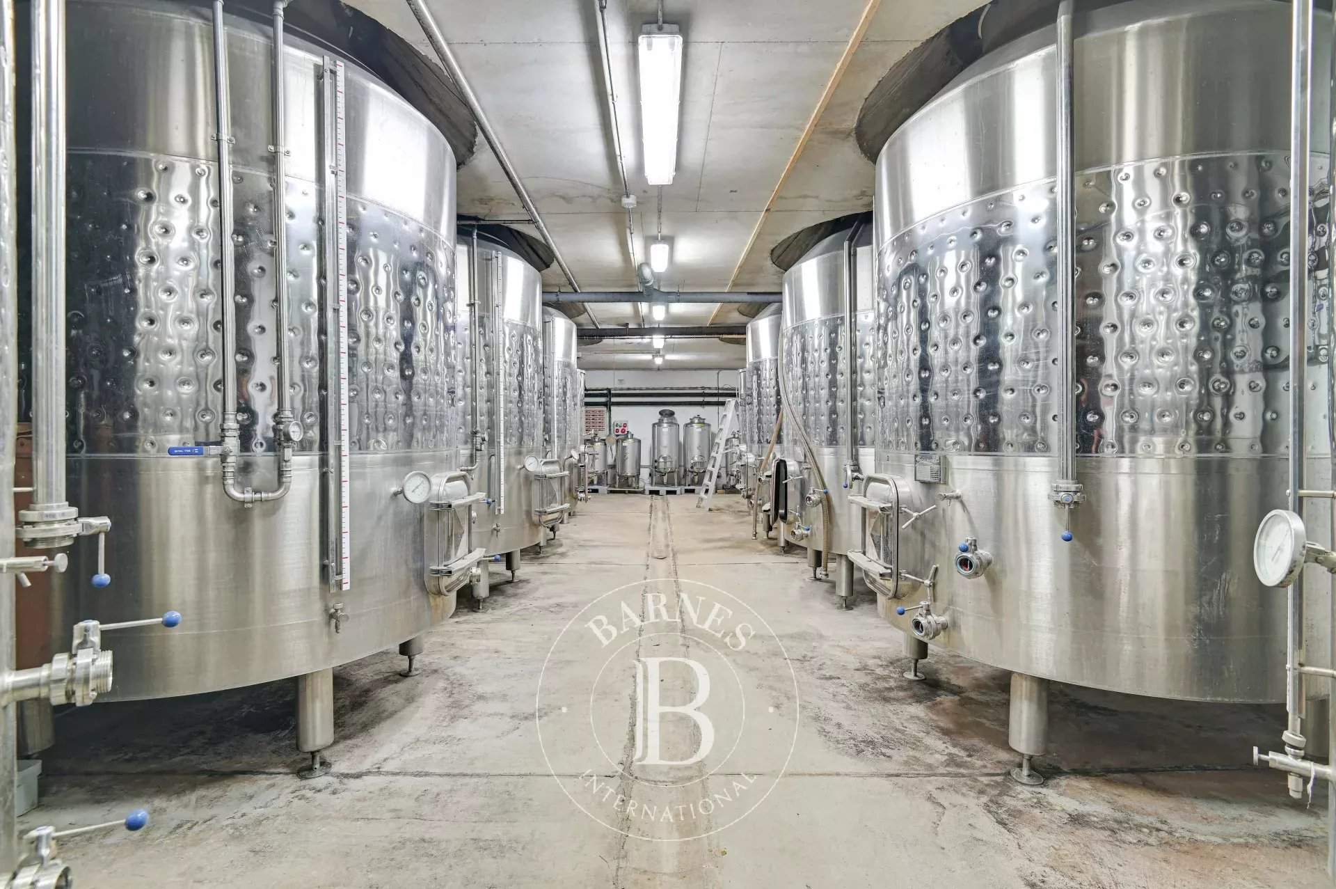 Torrent d'Emporda  - Vineyard property 11 Bedrooms - picture 16