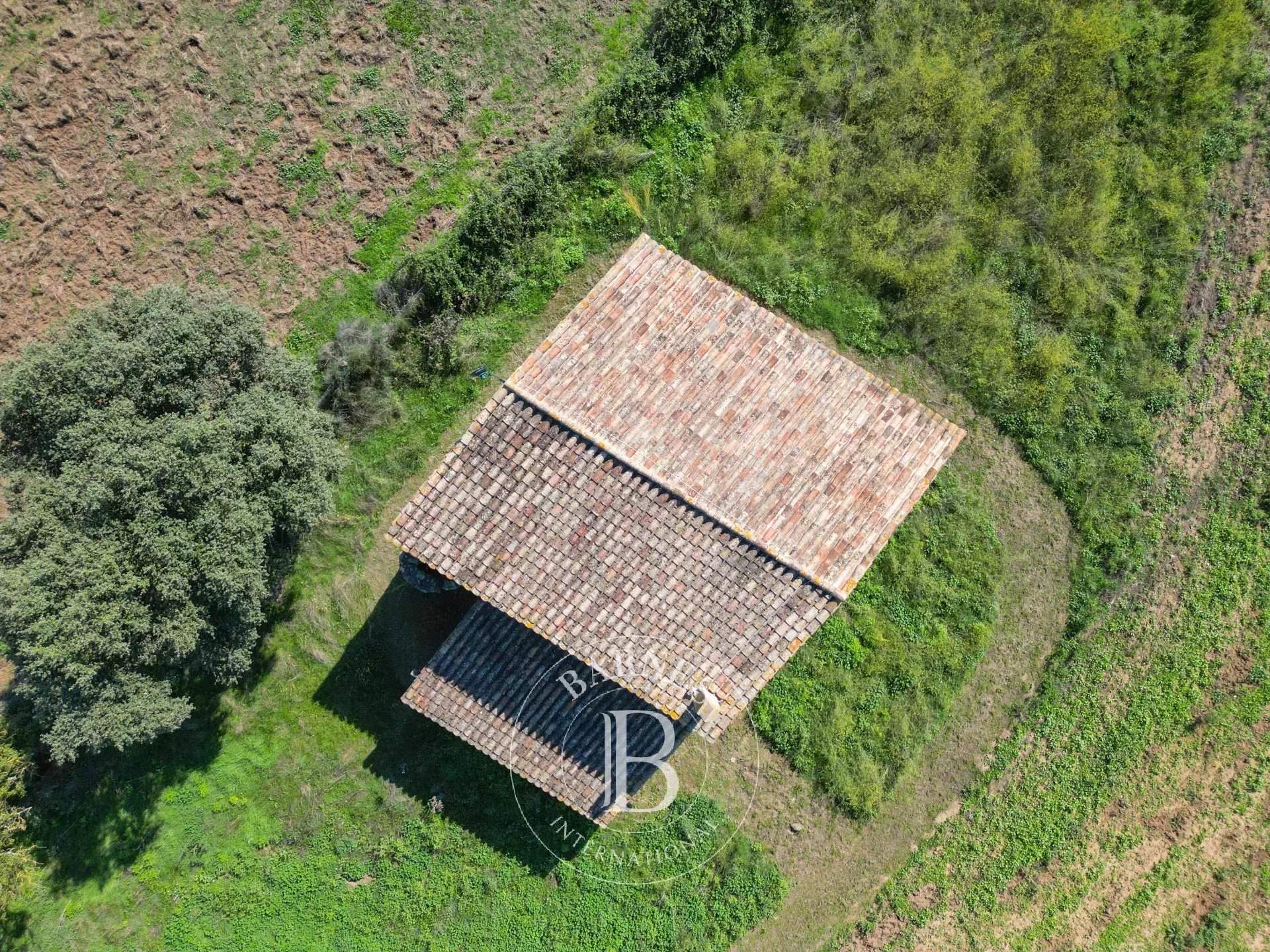 Sant Sadurni de L'Heura  - Finca  - picture 10