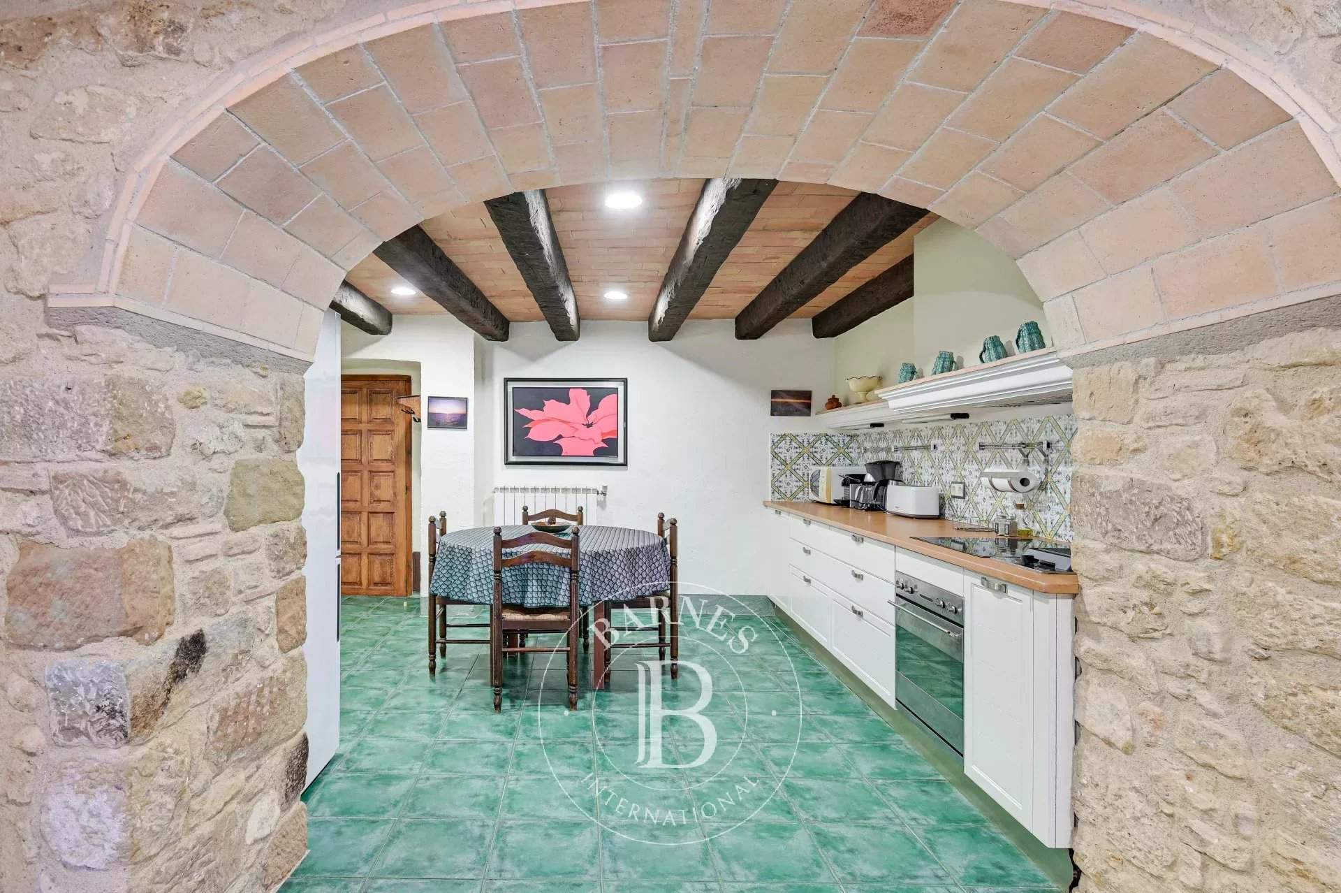 Llampaies  - Mas  - picture 13