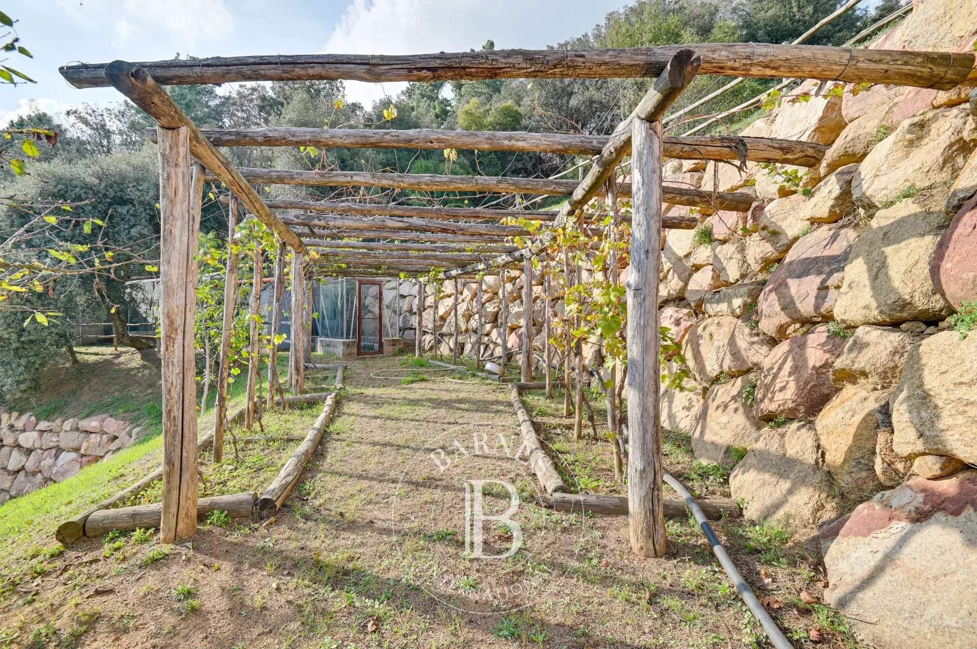 Arbucies  - Casa  - picture 8