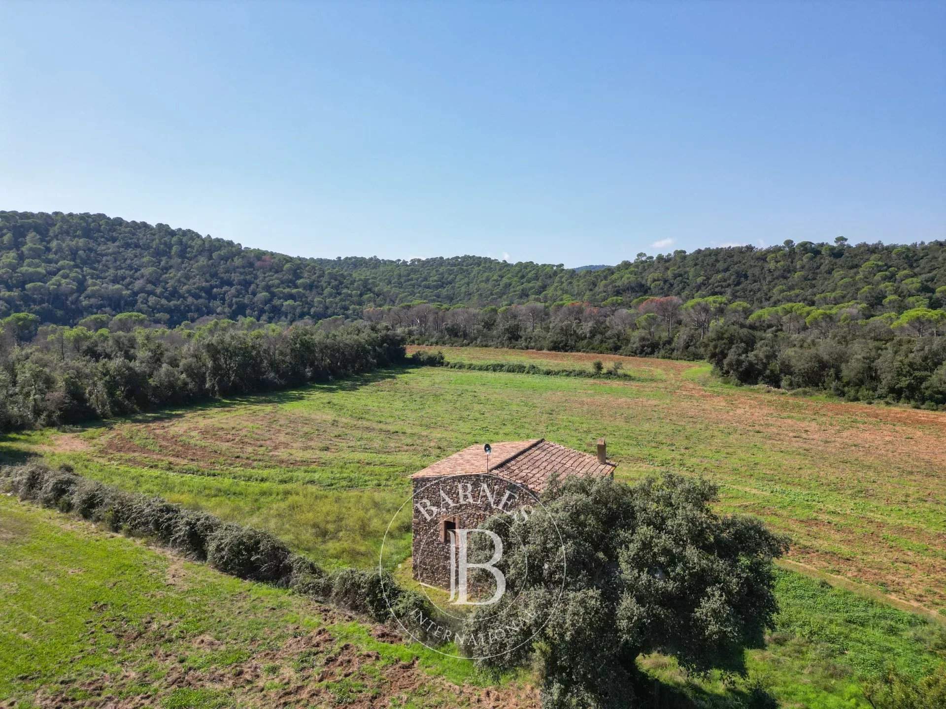 Sant Sadurni de L'Heura  - Finca  - picture 6