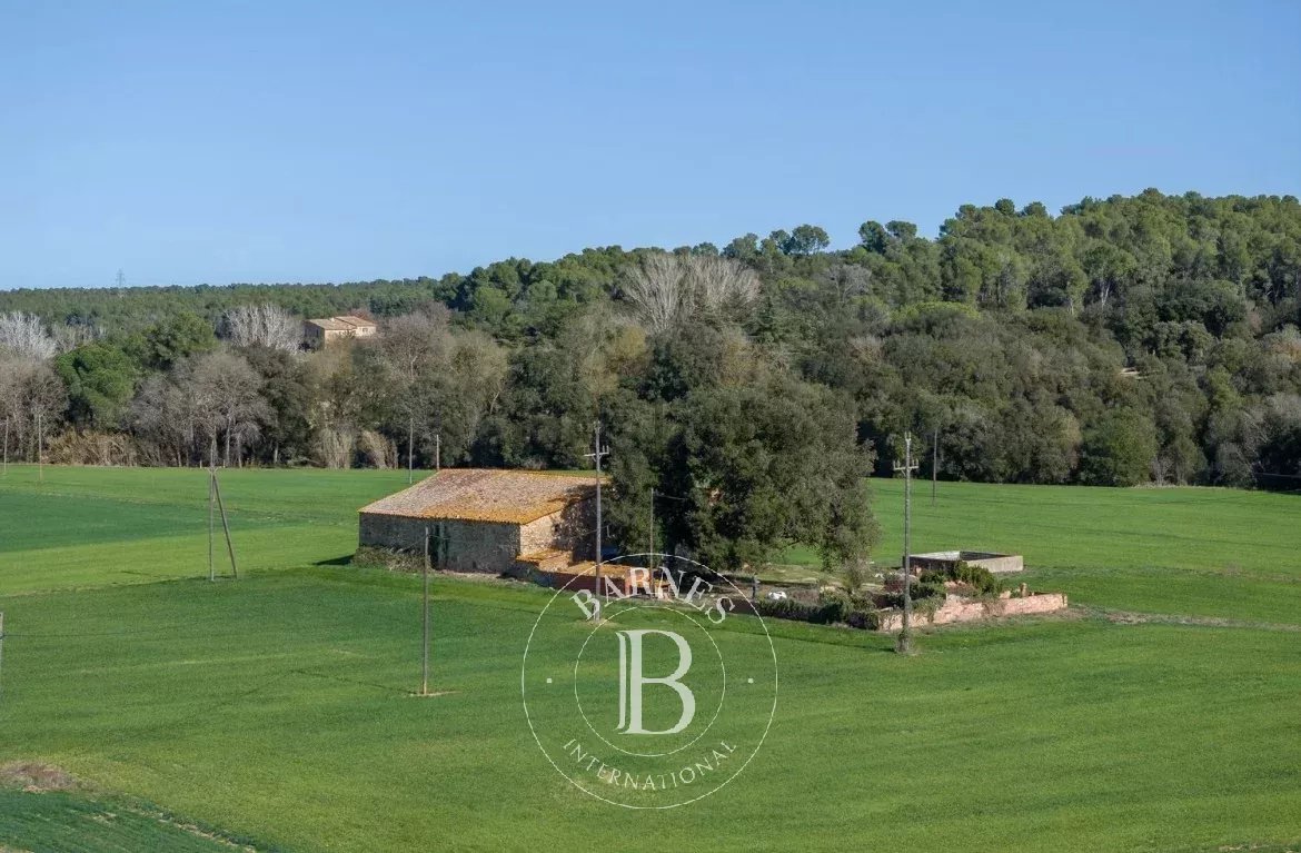 Santa Susana de Peralta  - Finca 5 Cuartos 5 Habitaciones - picture 8