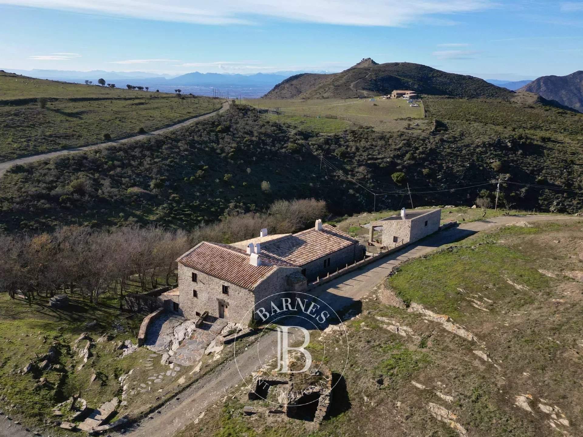 Roses  - Mas  - picture 5