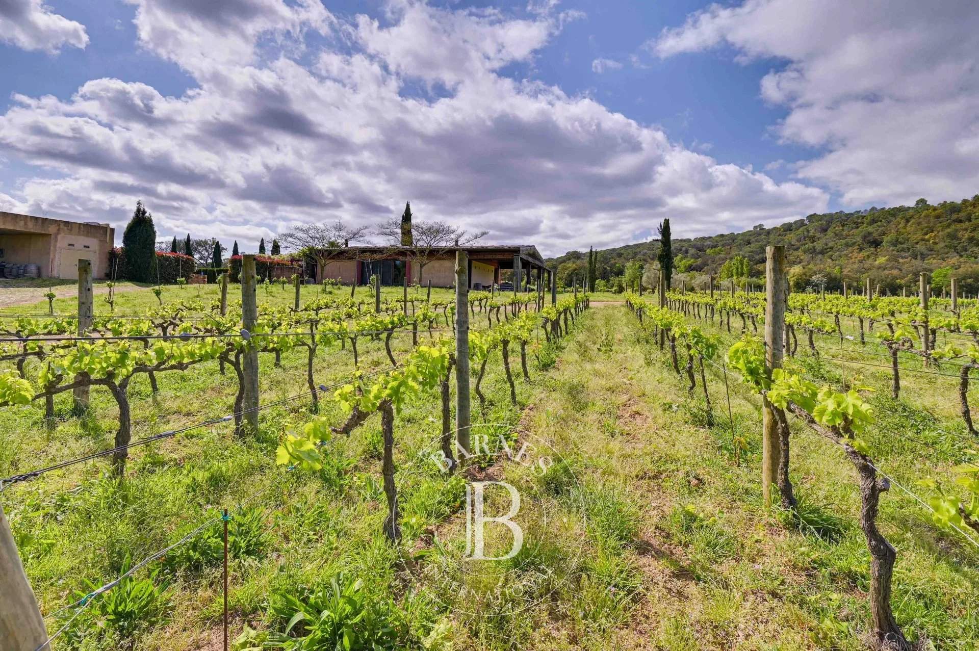 Torrent d'Emporda  - Vineyard property 11 Bedrooms - picture 3