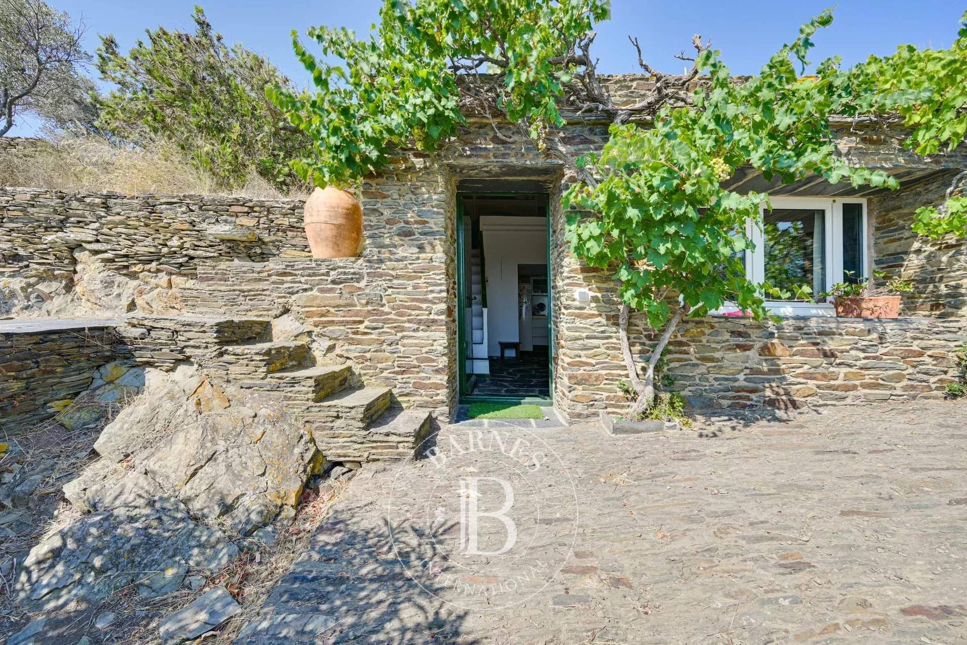 Cadaqués  - Villa 14 Bedrooms - picture 12