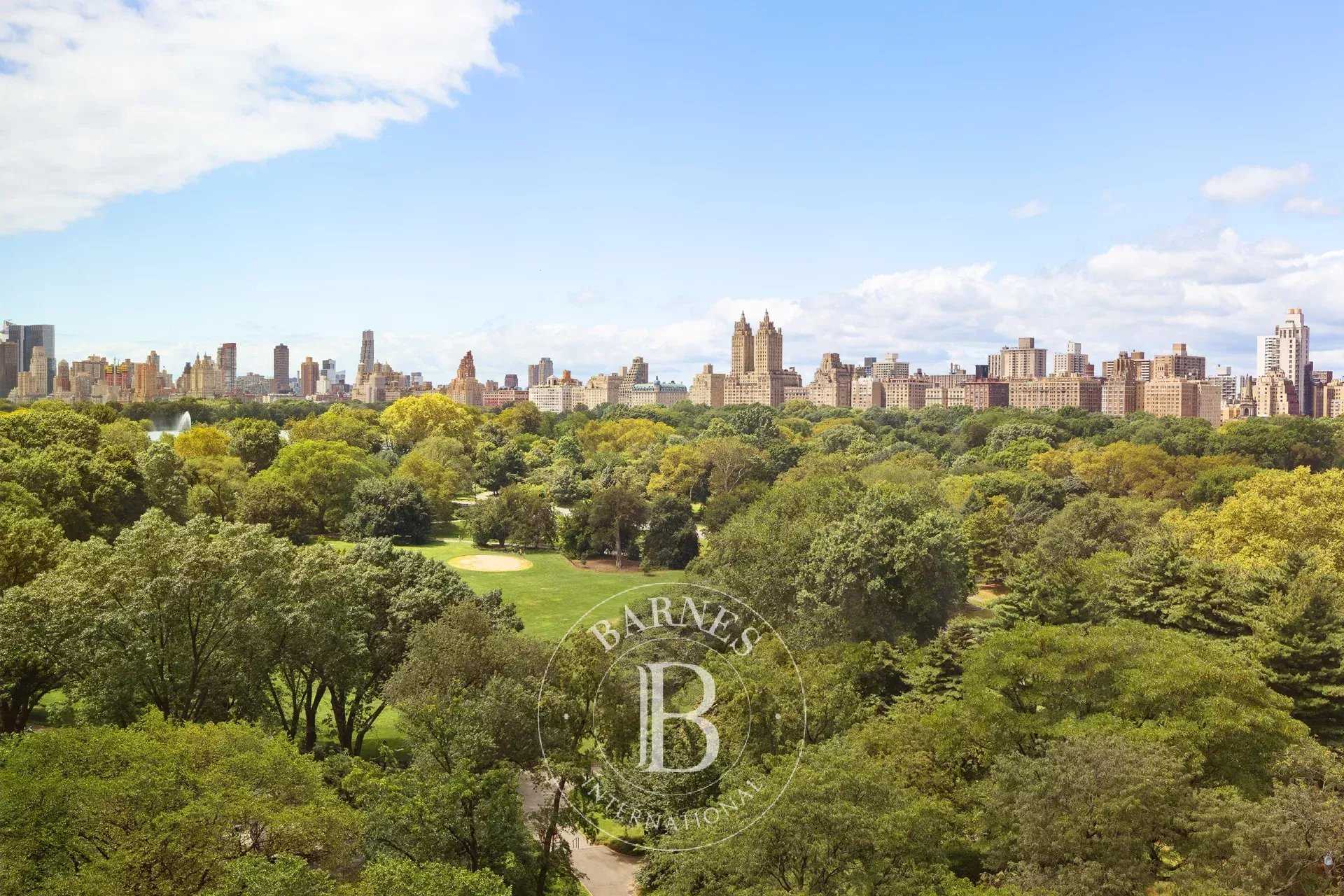 Apartment New York  -  ref 84472940 (picture 2)