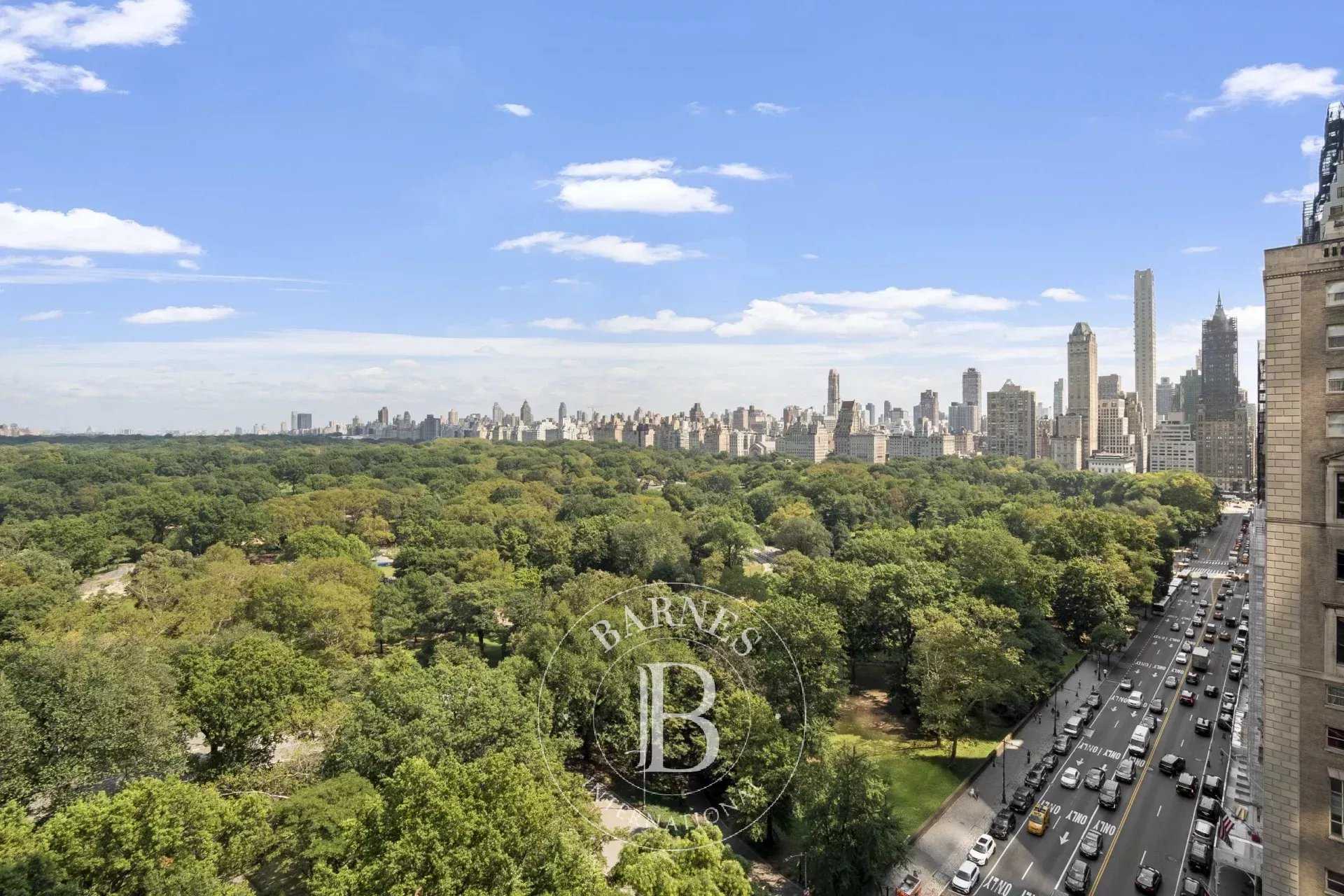 Apartment New York  -  ref 84445974 (picture 3)