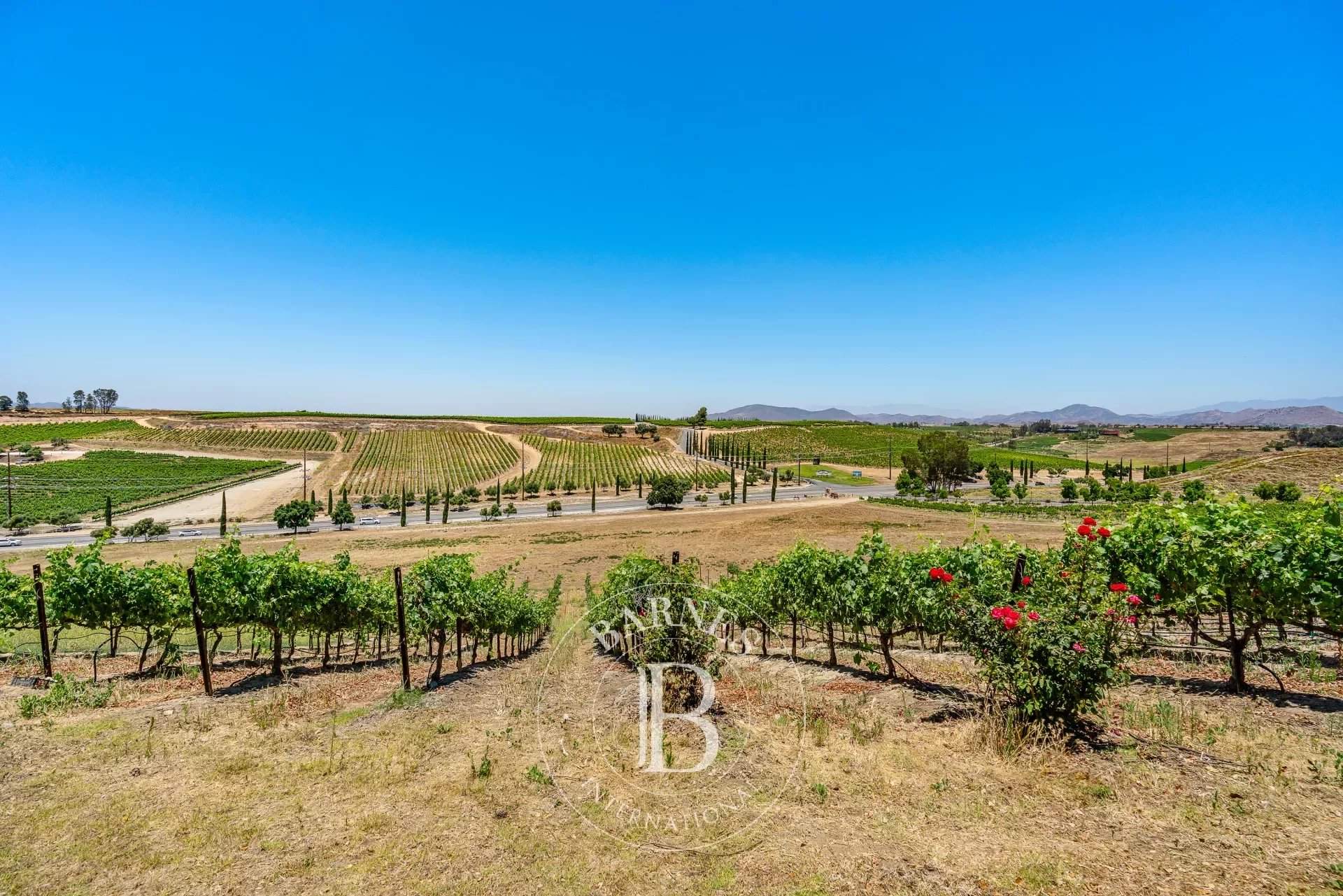 Temecula  - Agricultural exploitation  - picture 16