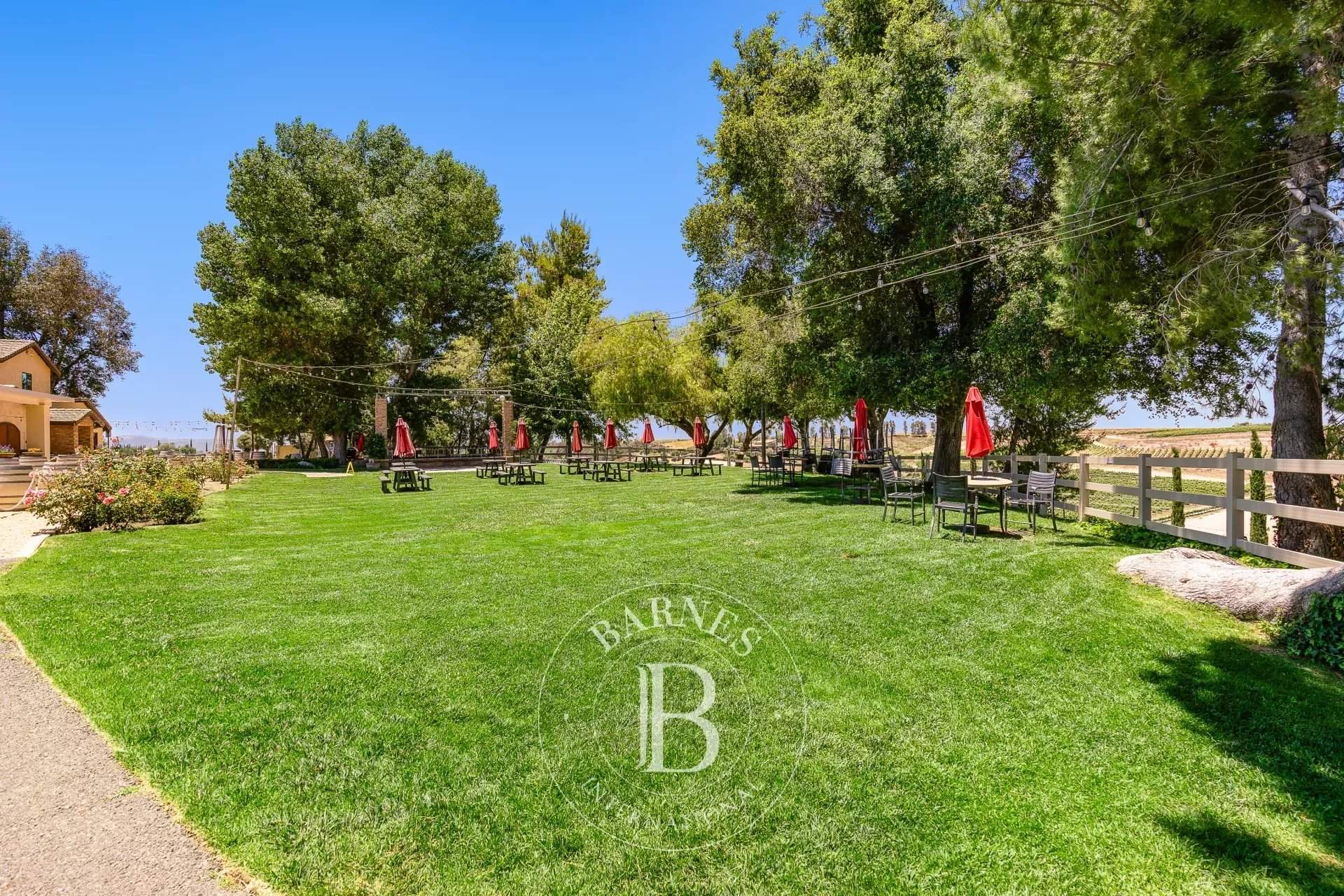 Temecula  - Agricultural exploitation  - picture 14