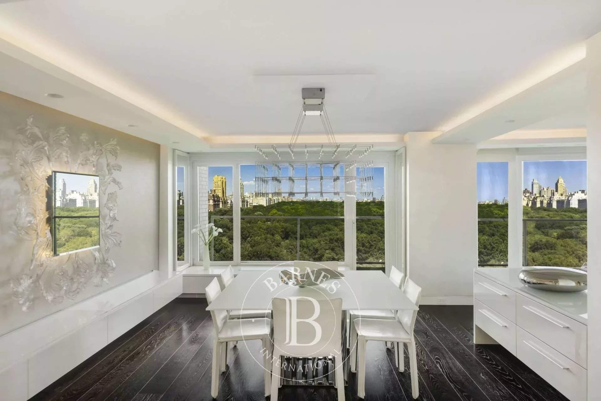 New York  - Apartment  - picture 6
