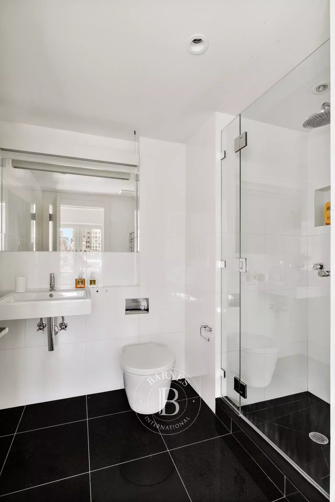 Manhattan  - Condo  - picture 18