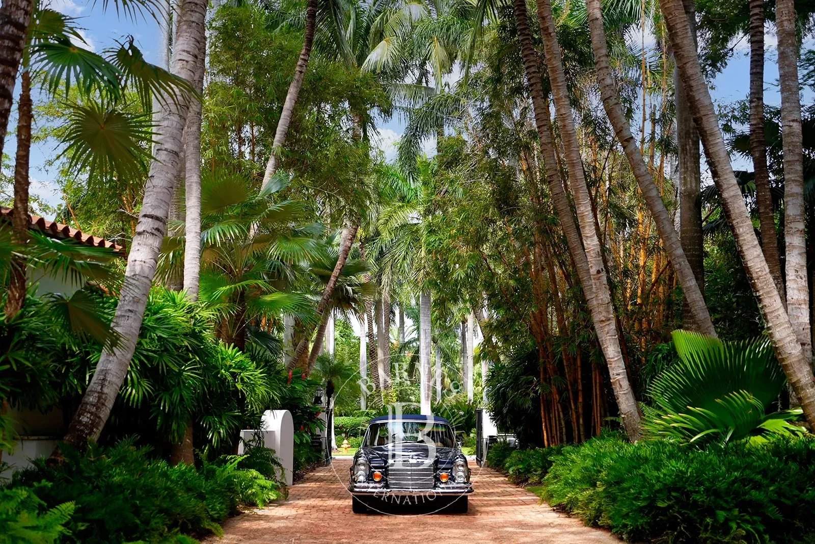 Miami Beach  - Villa  - picture 7