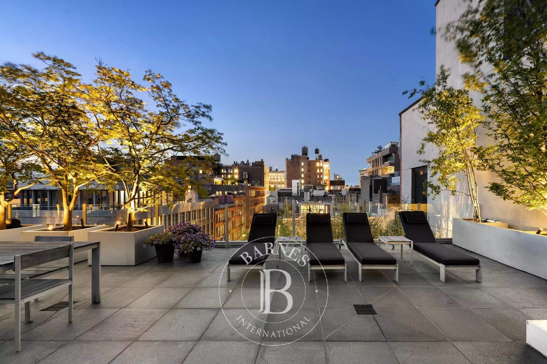New York  - Condo  - picture 10